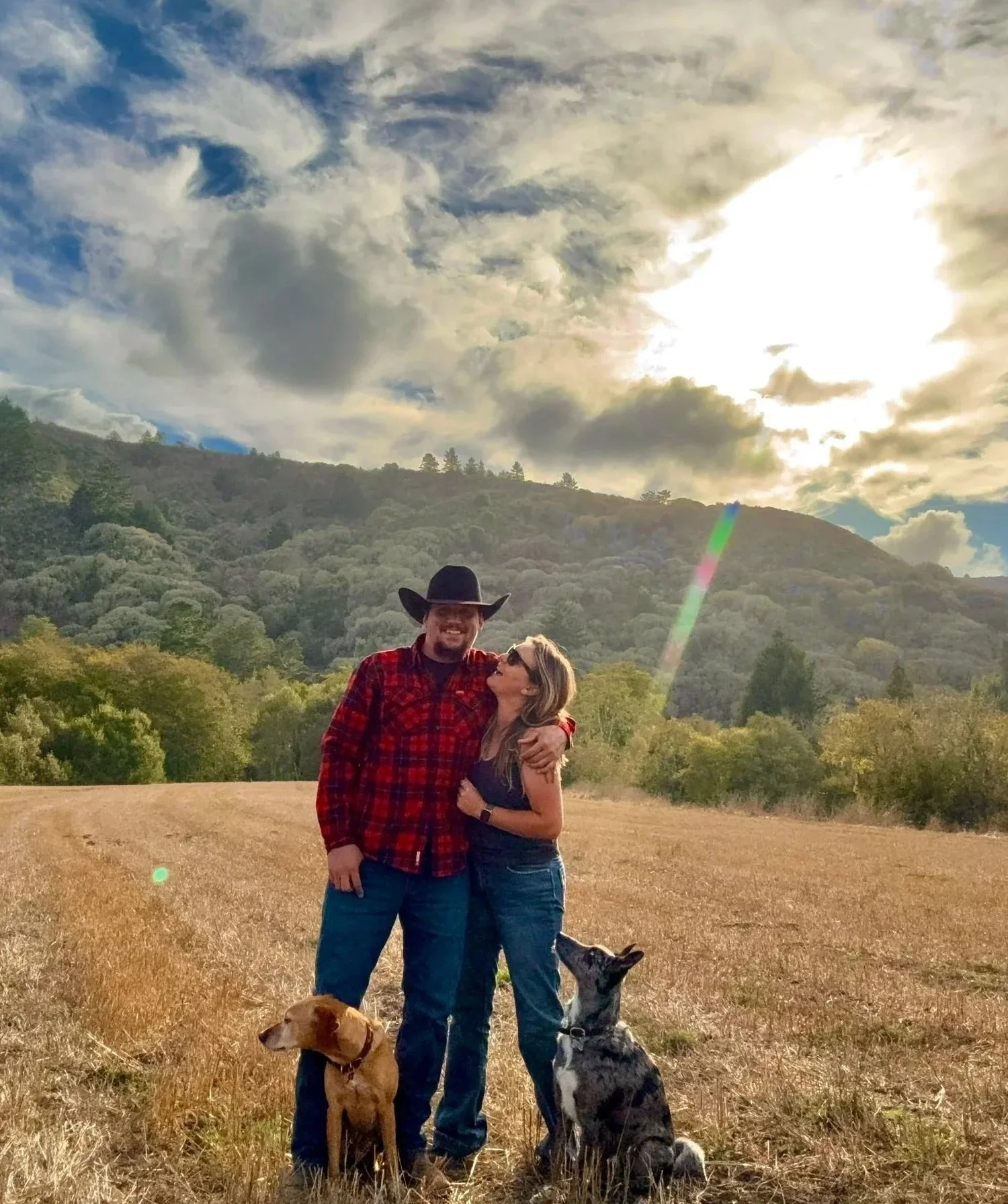 Couple with two dogs posing in a sunlit field beneath a cloudy sky, with forested hills in the background