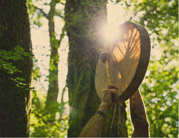 A person is hanging a large, round clock on a tree in a forest.