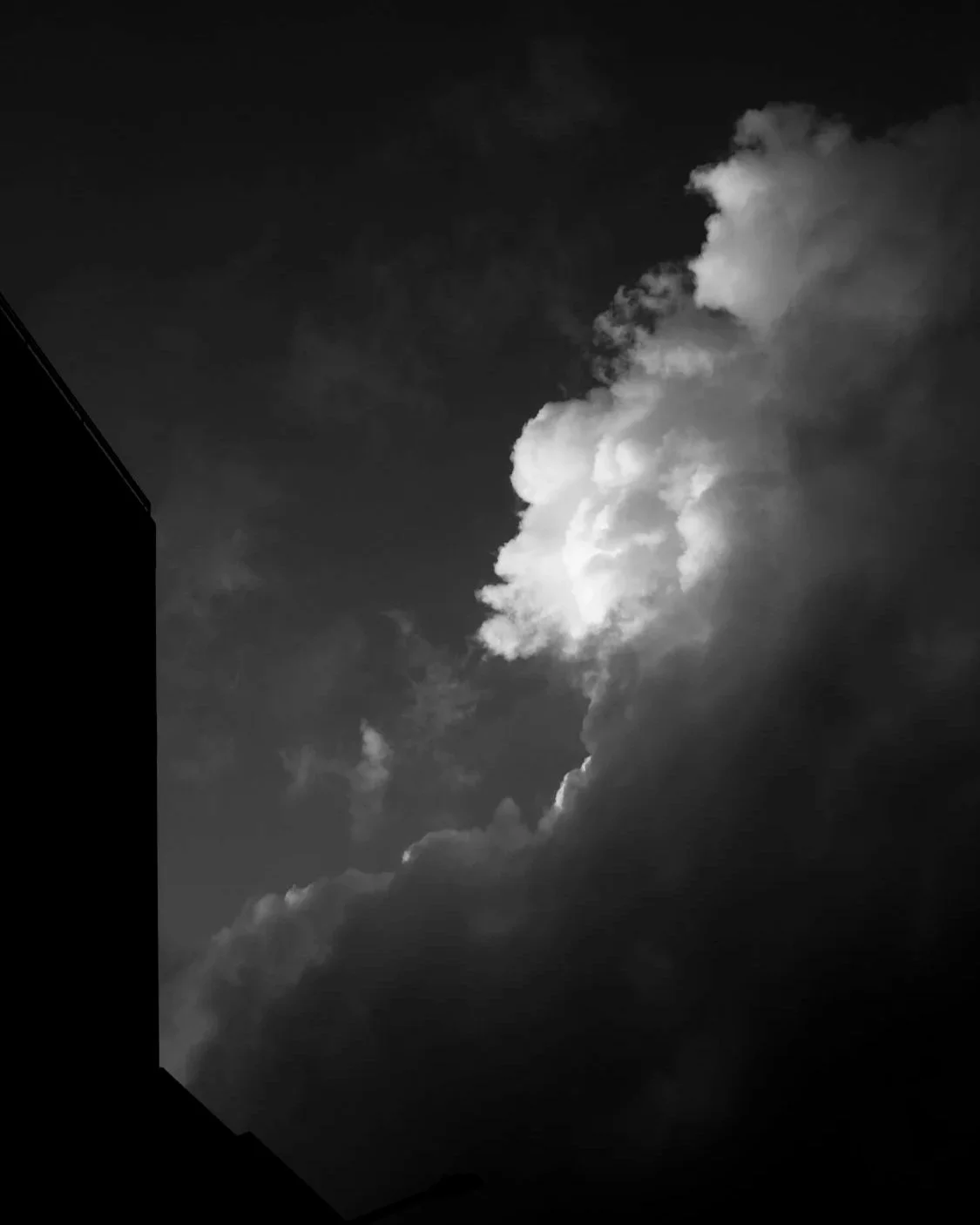 tate___dsf4719.jpg