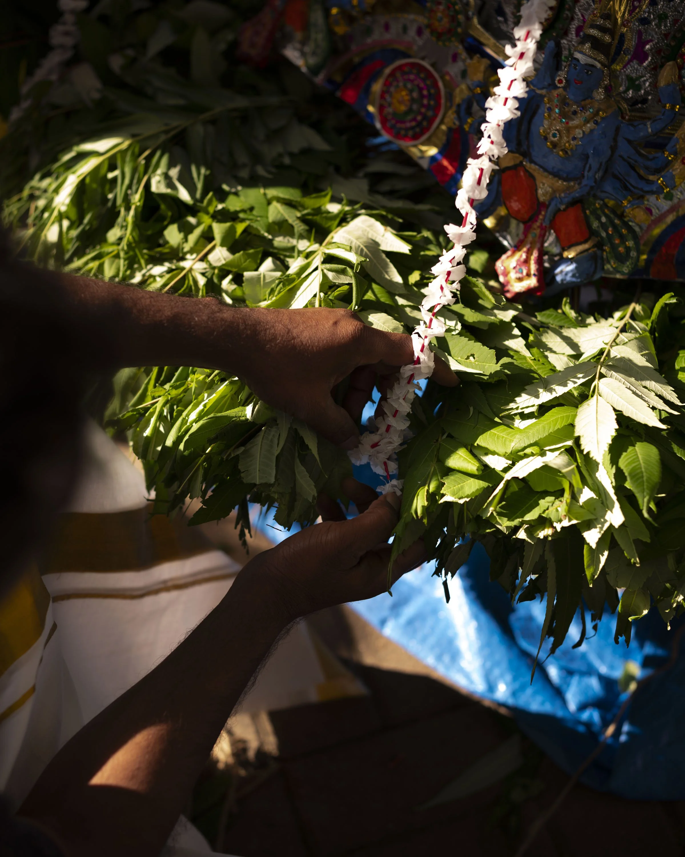 01_KAVADI_026.jpg