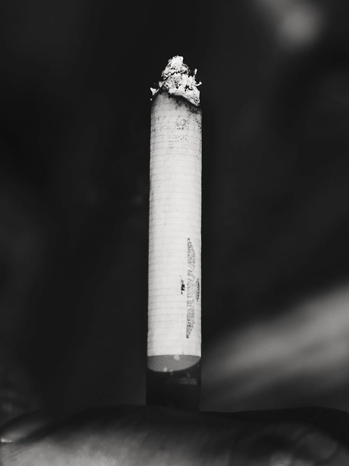 _DSF3576 1.jpg
