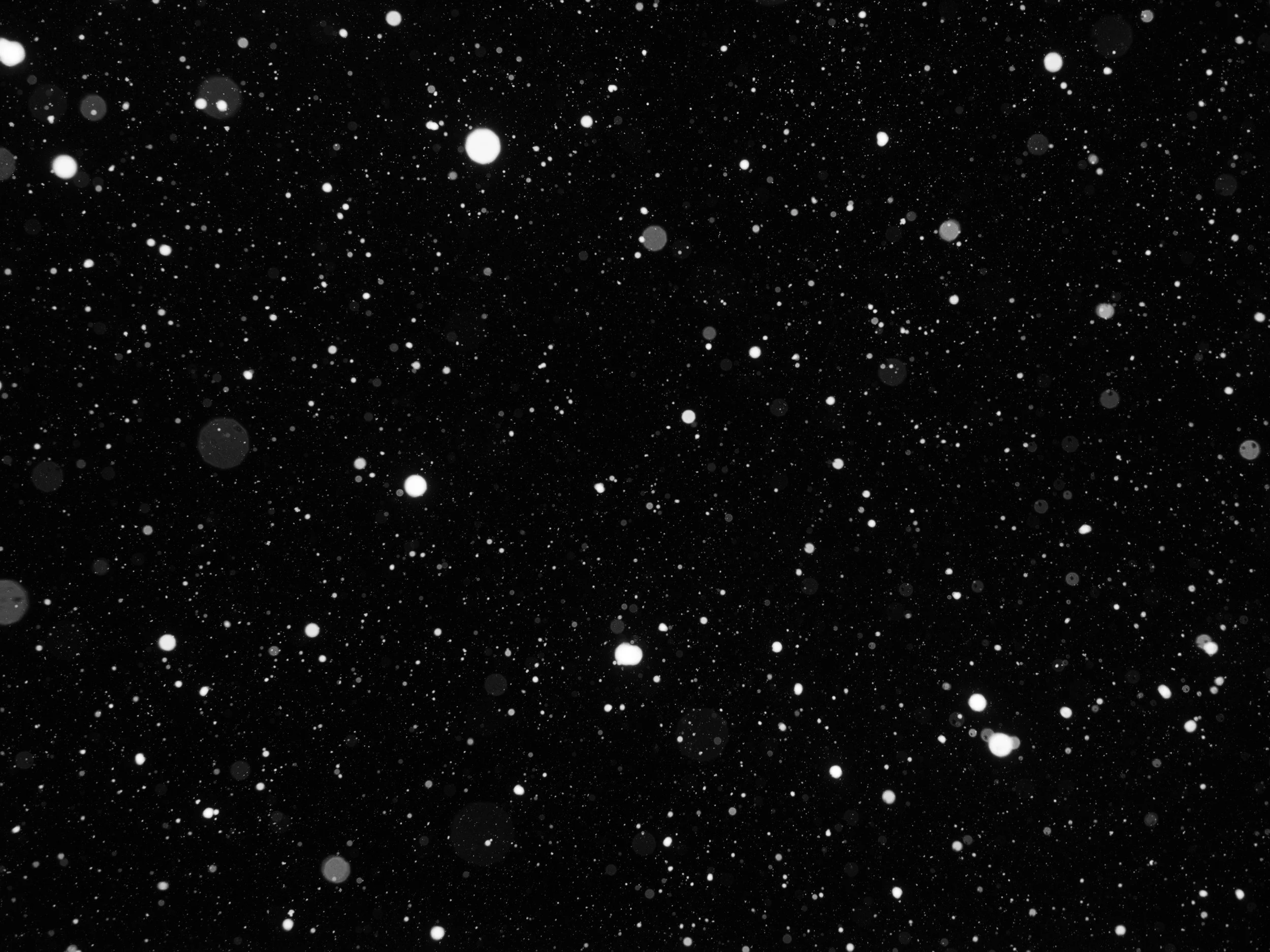 UNDERGLOW_BW_35_dsf1560.jpg