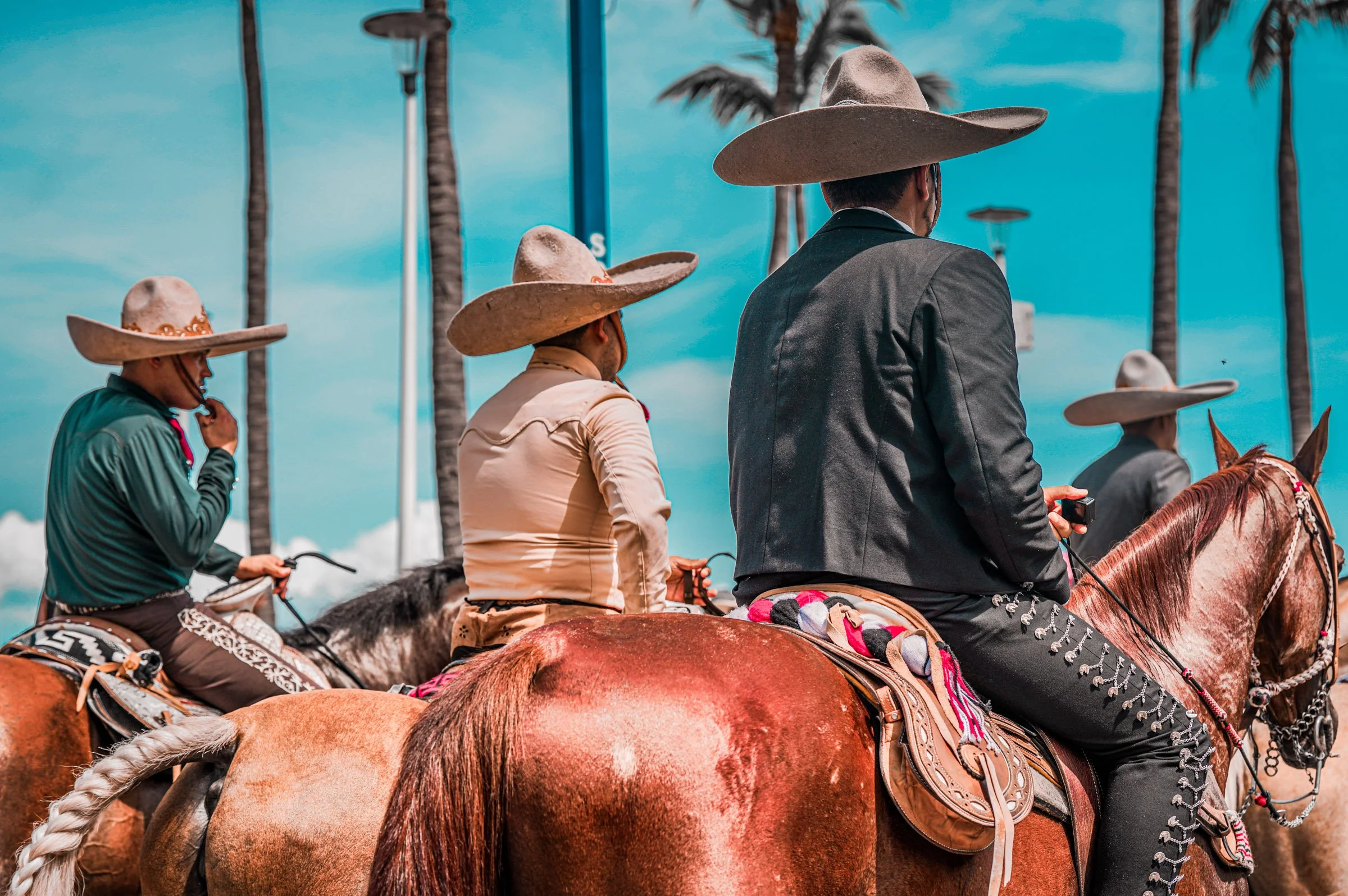 Group of people riding horses outdoors, wearing large cowboy hats, with palm trees and blue sky in the background.