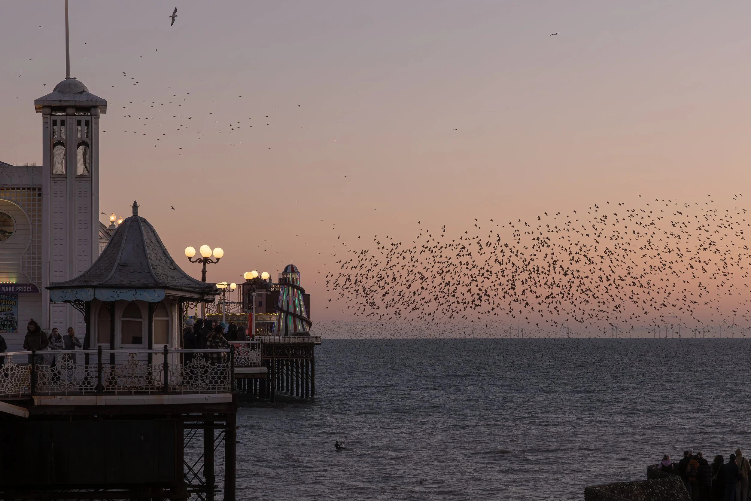 Murmuration, Brighton Palace Pier