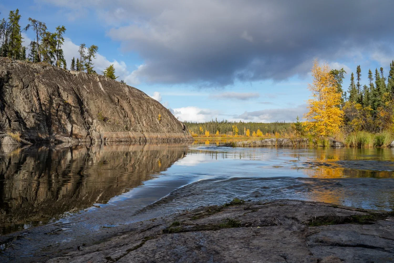 Cameron falls nwt Fall river and forest