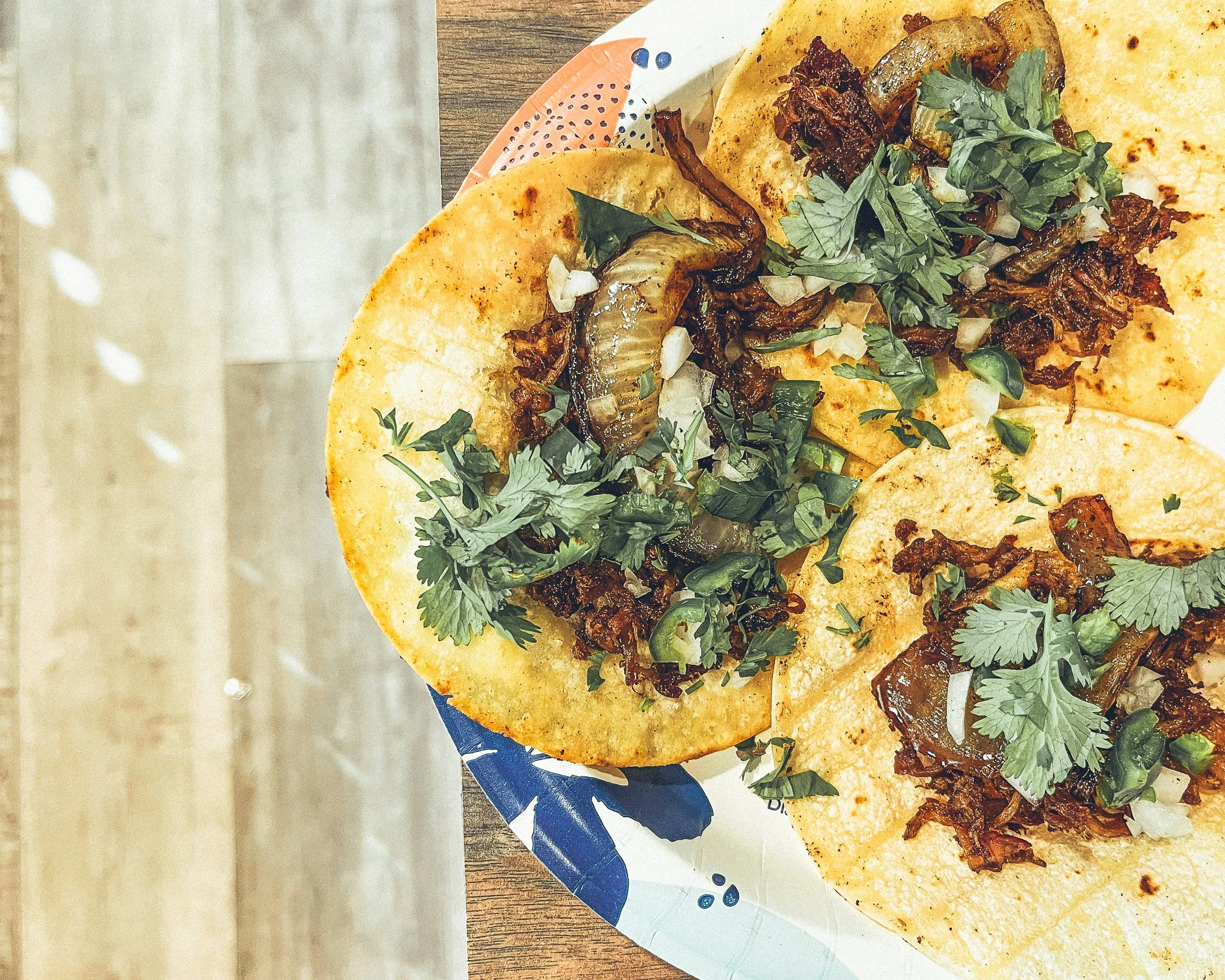 Close-up of two tacos filled with shredded meat, chopped onions, cilantro, and slices of onion on a blue and white plate.