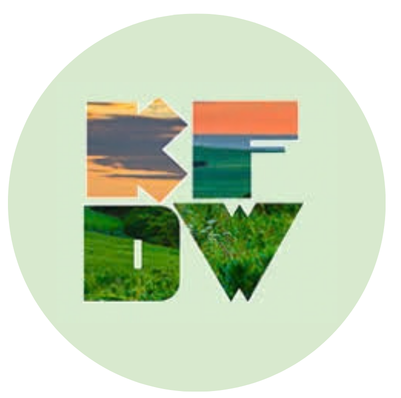 Untitled design (35).png