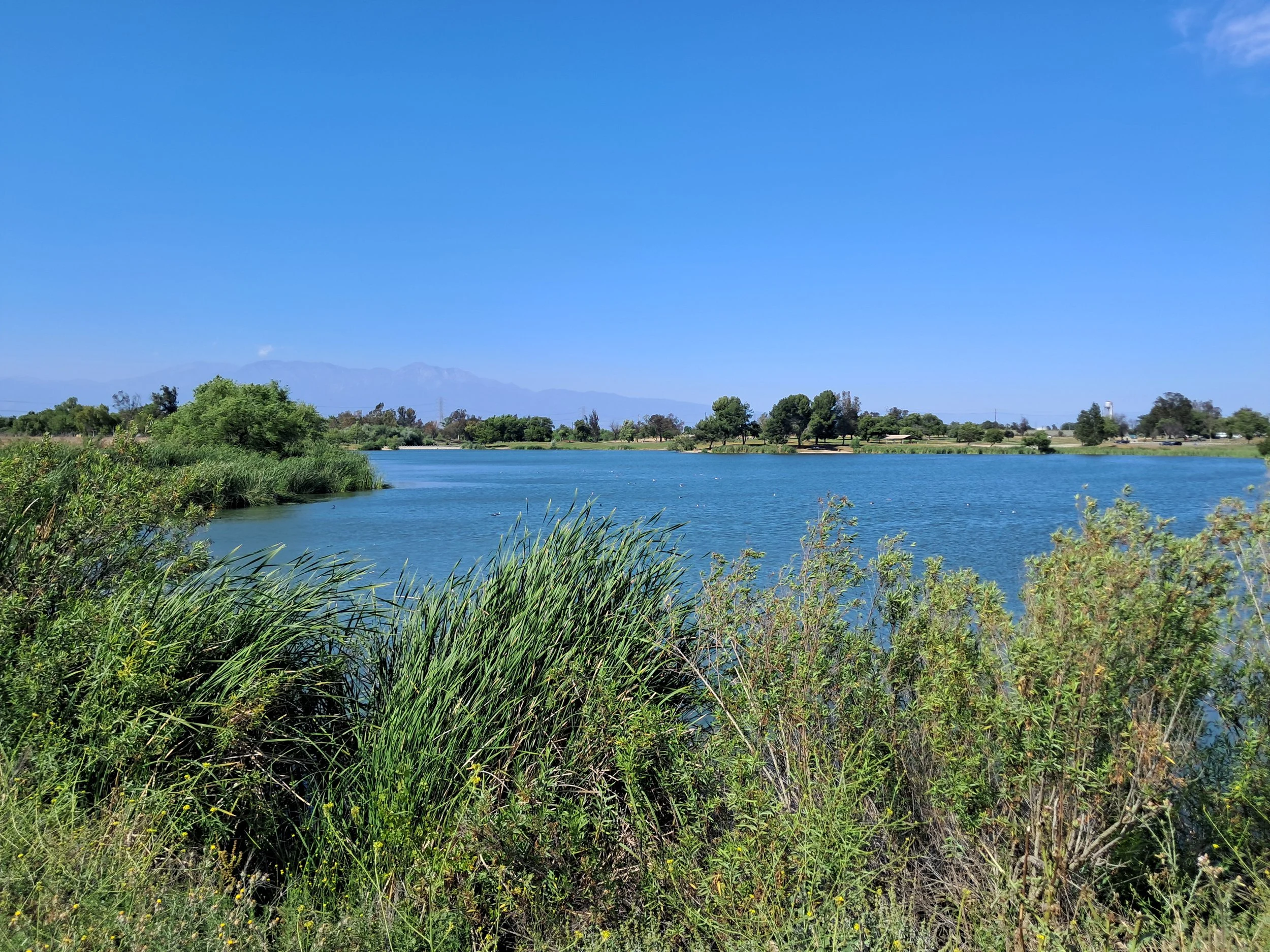 A scenic landscape with a calm lake in the foreground, surrounded by lush green vegetation and trees. In the background, a mountain range is visible under a clear blue sky.