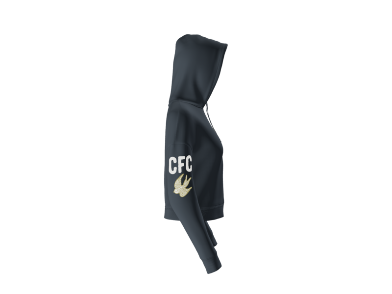 DT6101 side_navy.png