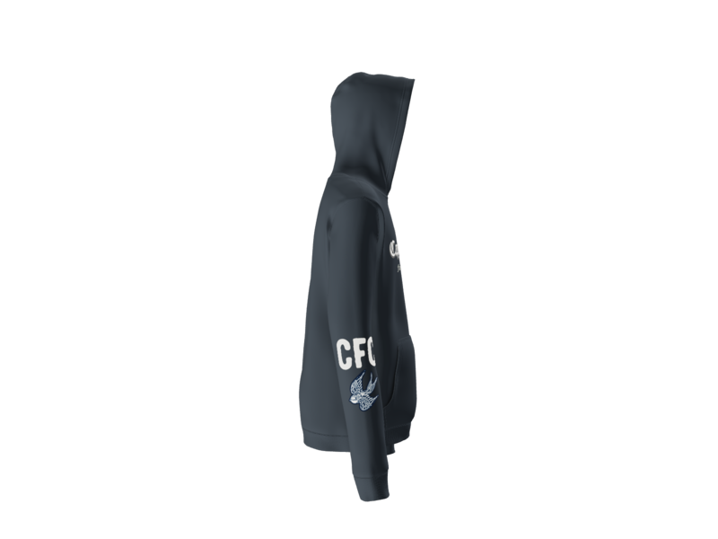 DT6100Y_side_navy.png