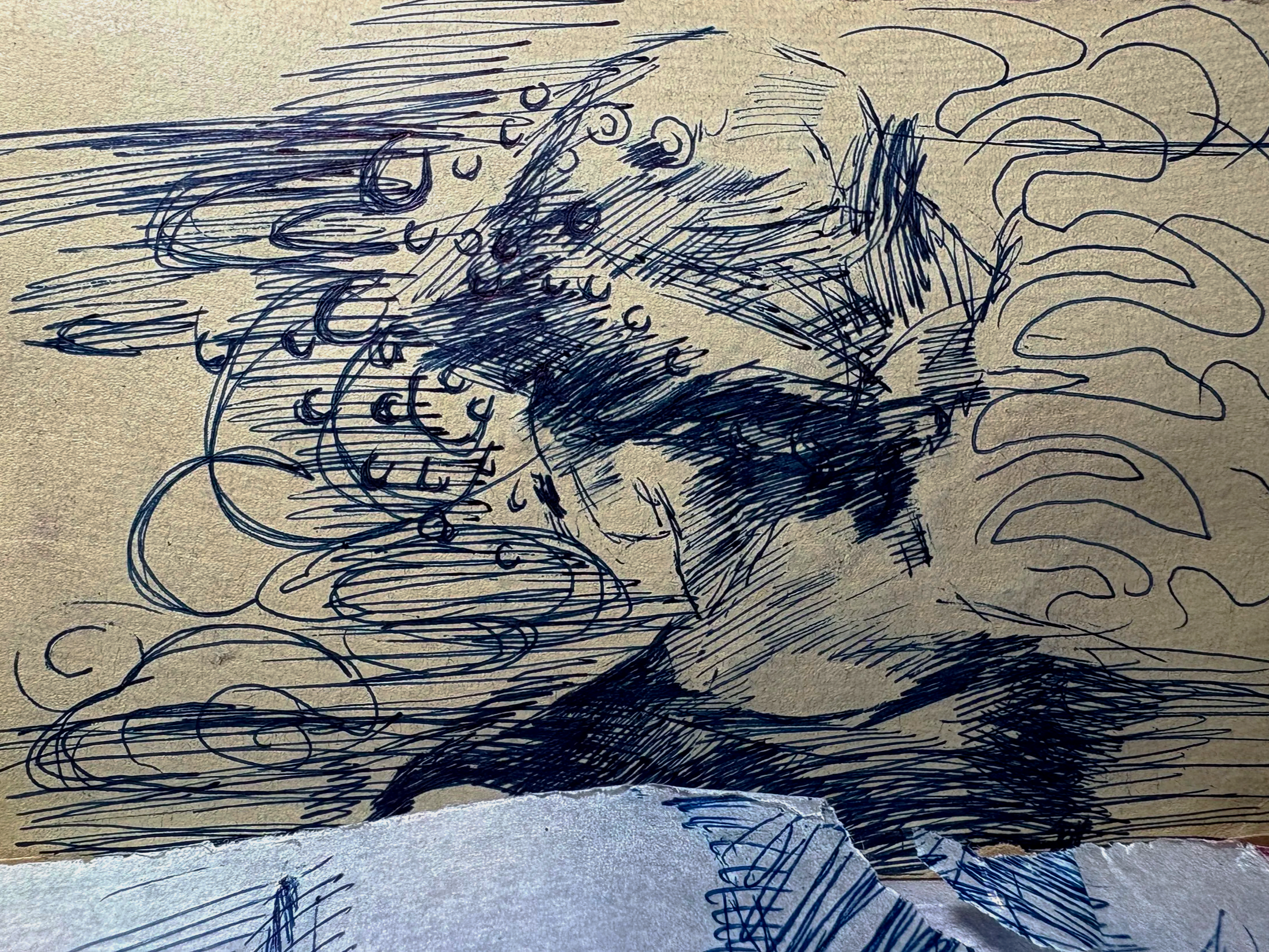 IMG_8013.png