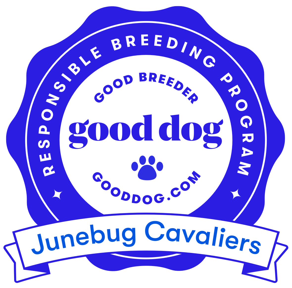 Blue and white badge reading 'Resilient, Inspiring, Bold, Good, Responsible, Recognized, GoodDog, GoodDog.com, Good Breeder, Good Dog, Junebug Cavaliers' with a small paw print and banner.