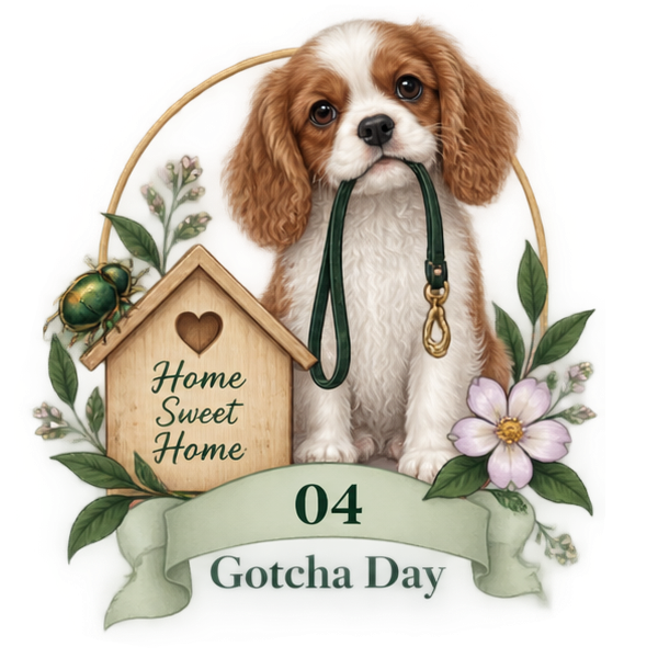 Cavalier King Charles Spaniel puppy holding a green leash in its mouth, surrounded by flowers, a decorative house with a heart and the words "Home Sweet Home," and a banner with the number 04 and the text "Gotcha Day."