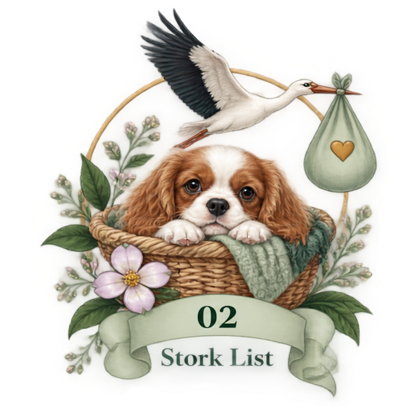 A cute puppy with brown and white fur lying in a wicker basket surrounded by flowers and greenery, with a stork flying above carrying a green bundle with a golden heart and a ribbon, and a banner at the bottom reading '02 Stork List.'
