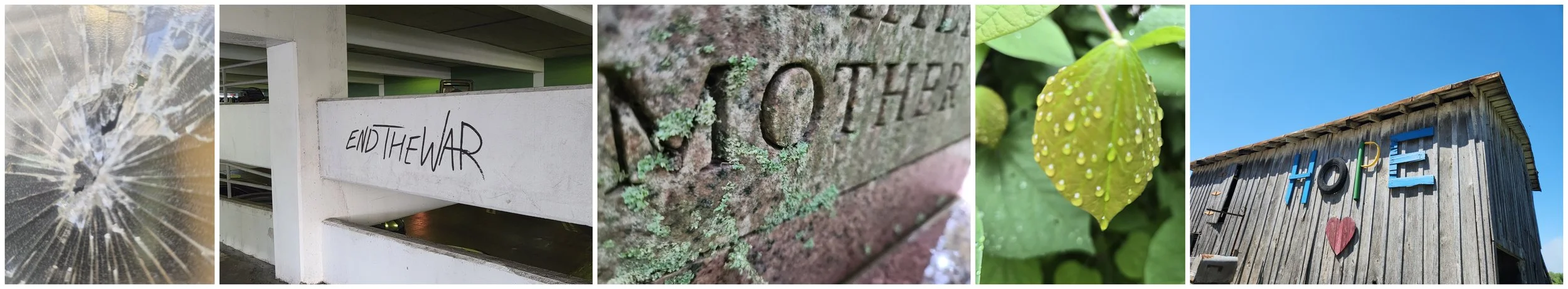 Blog Post One