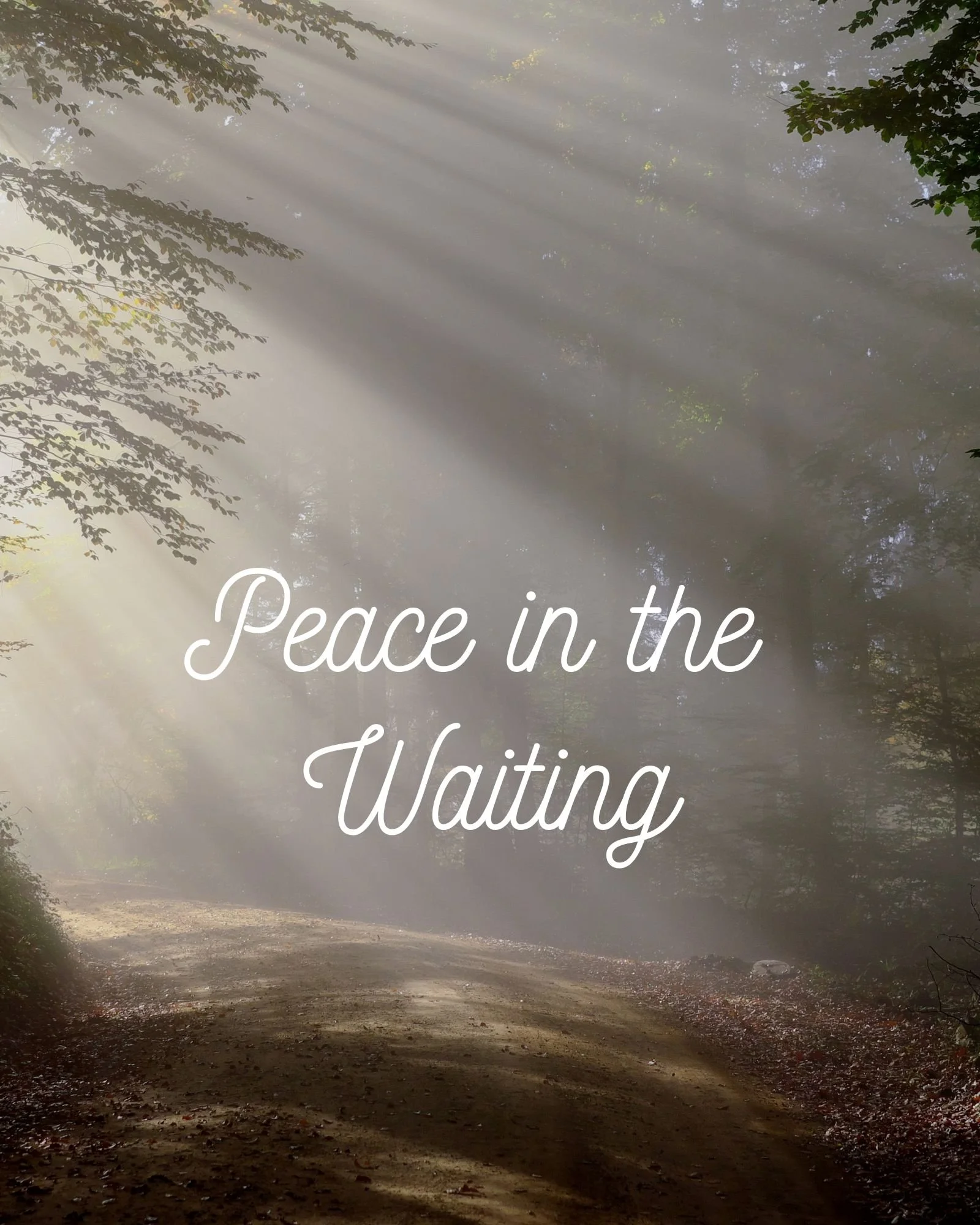Peace in the Waiting