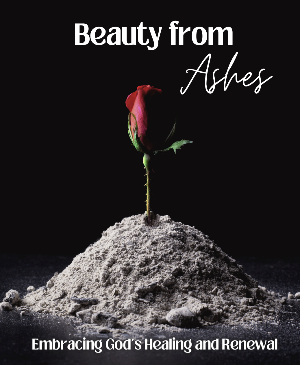 Beauty from Ashes Bible Study (Digital)