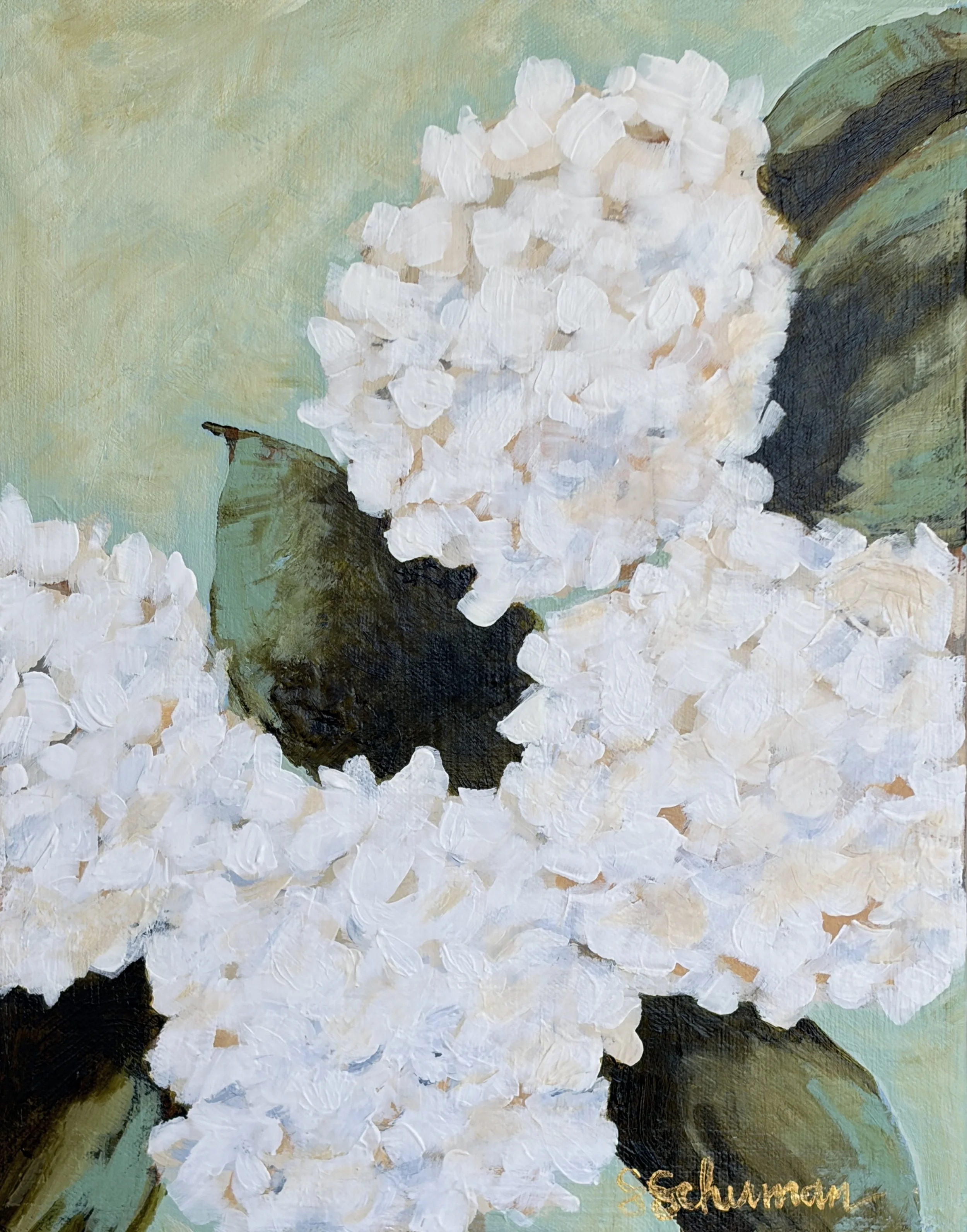 Hydrangea Hush 9x12