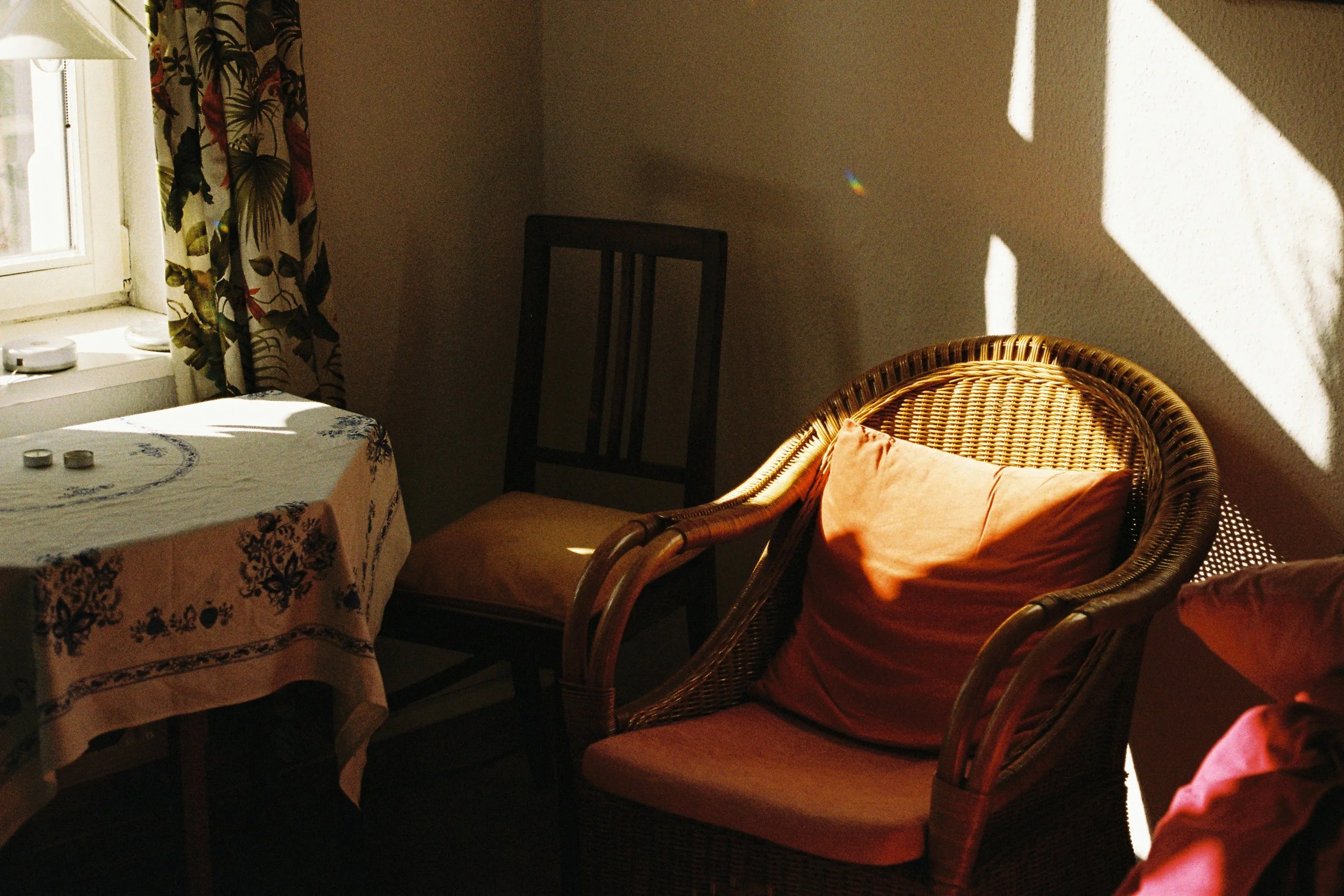 Website-6.jpg