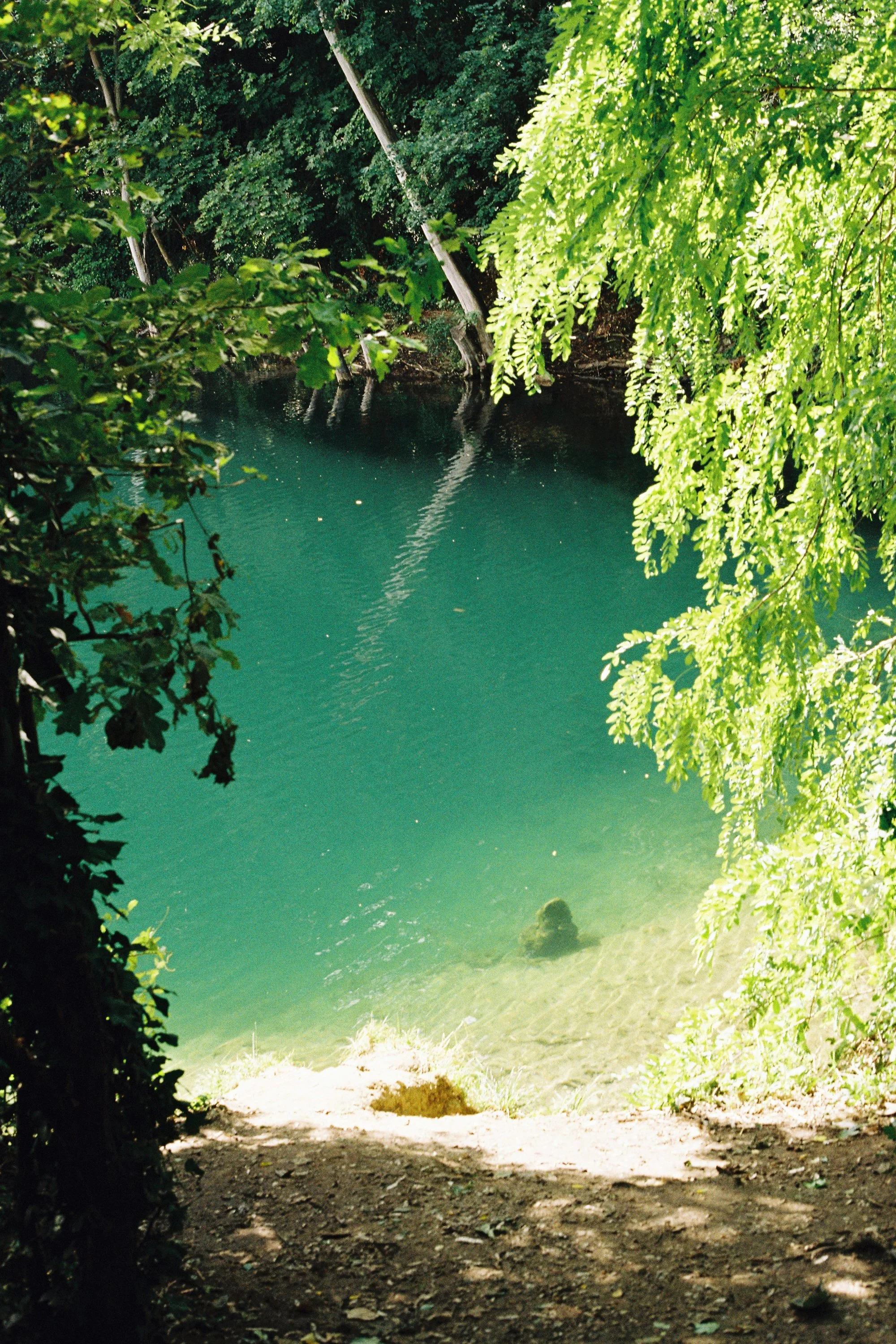 Website-3.jpg
