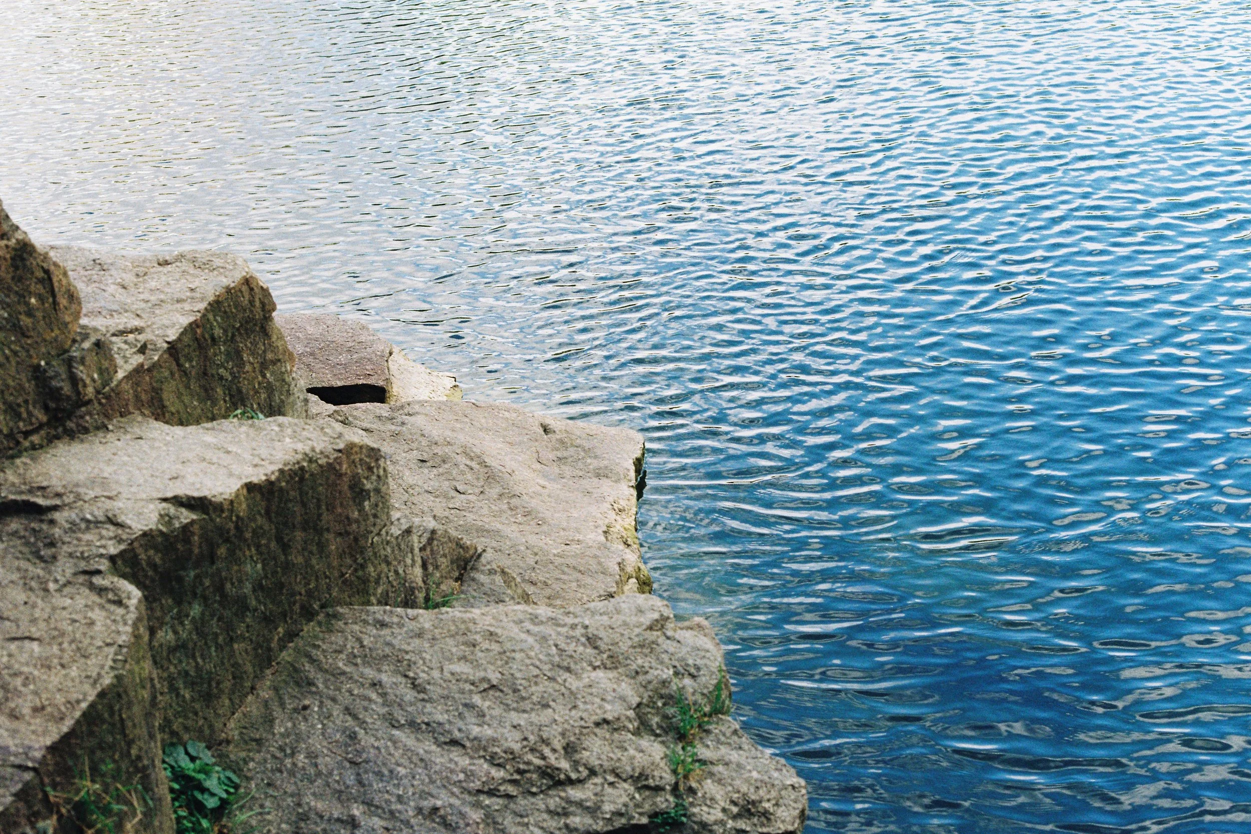 Website-2.jpg
