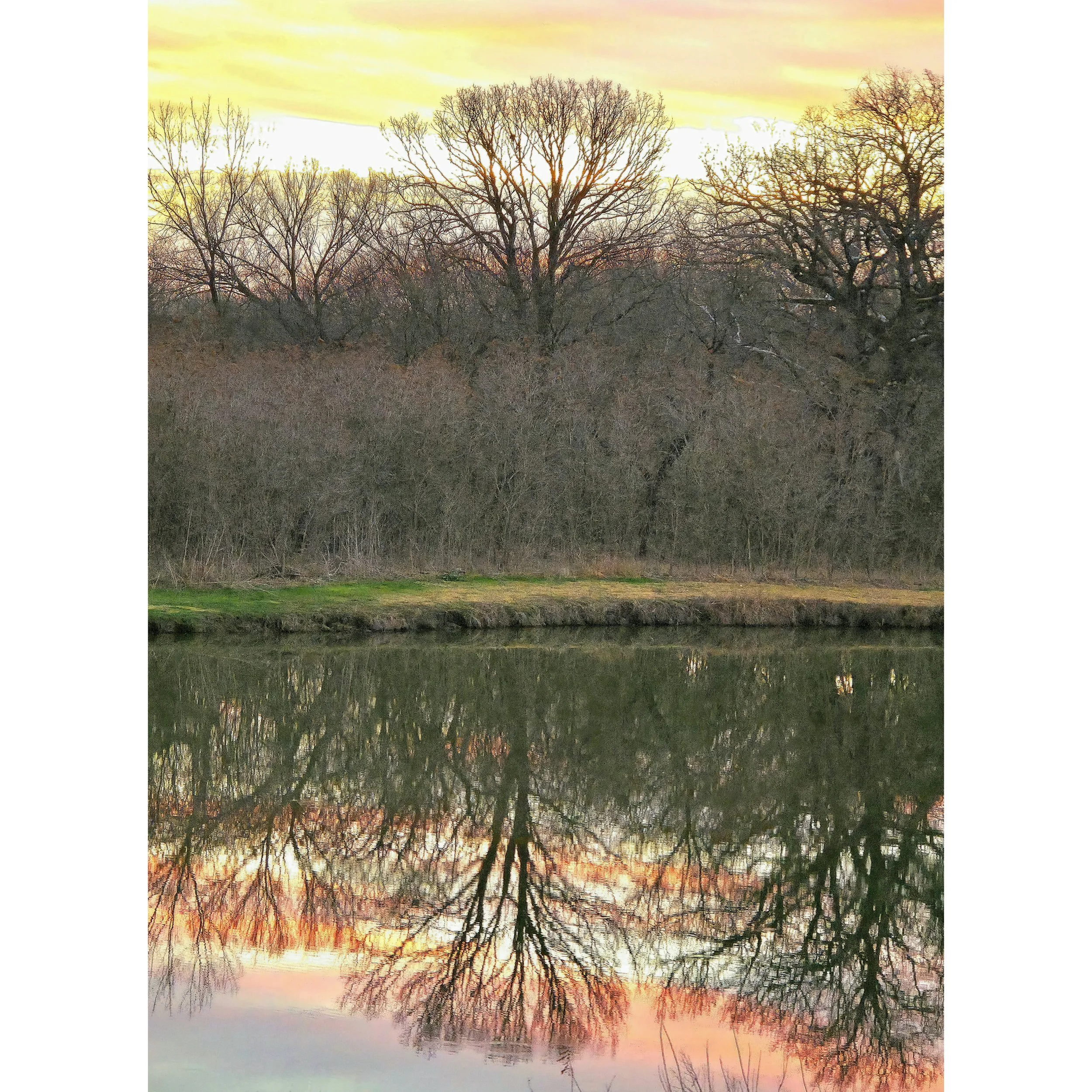 Lake Reflected