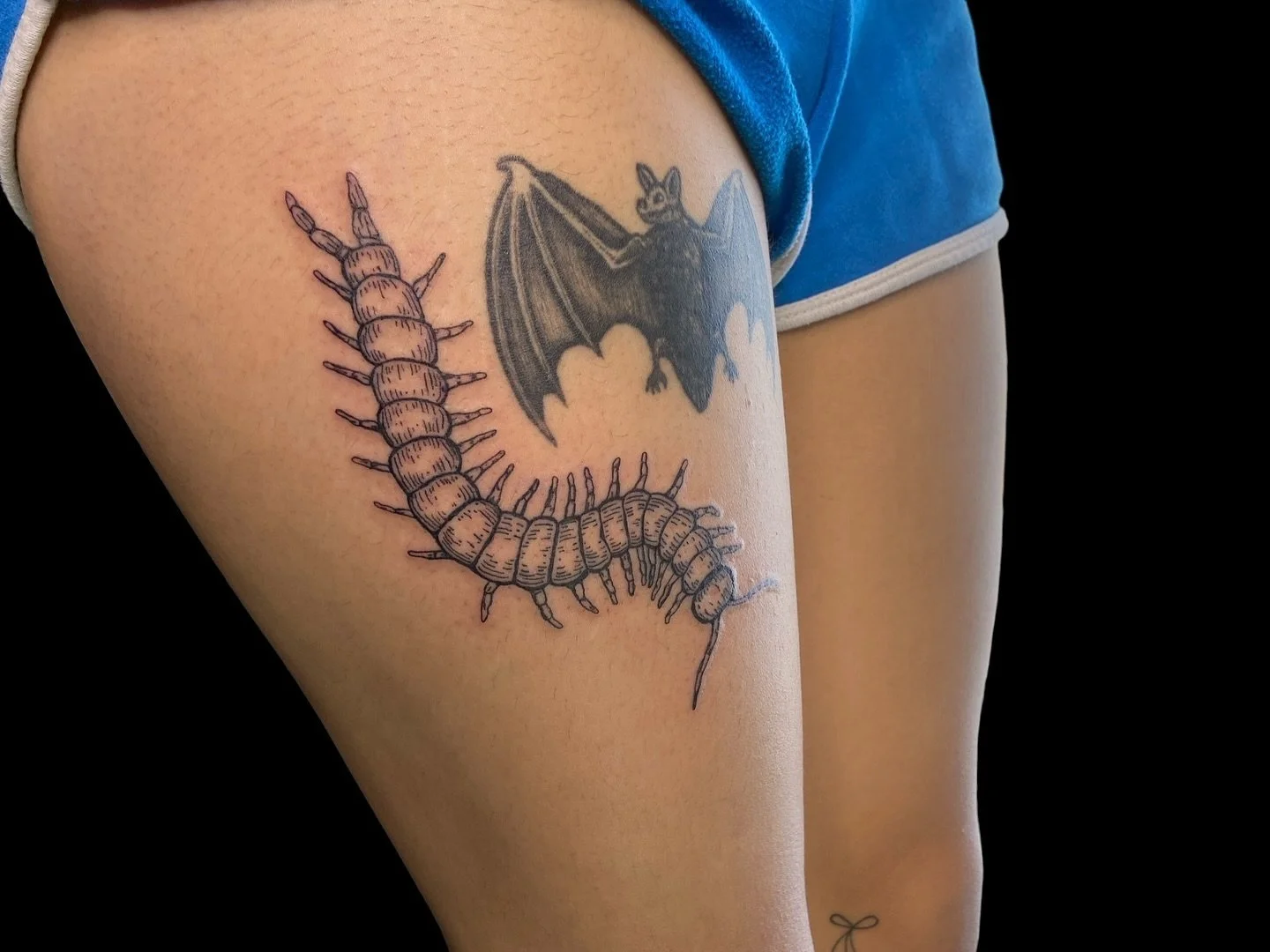 Centipede piece.

Private Studio located in Monterey Park, CA. 10 minutes from DTLA.

By appointment. Deposit required.

To book message or text 6264820323

Thank you
