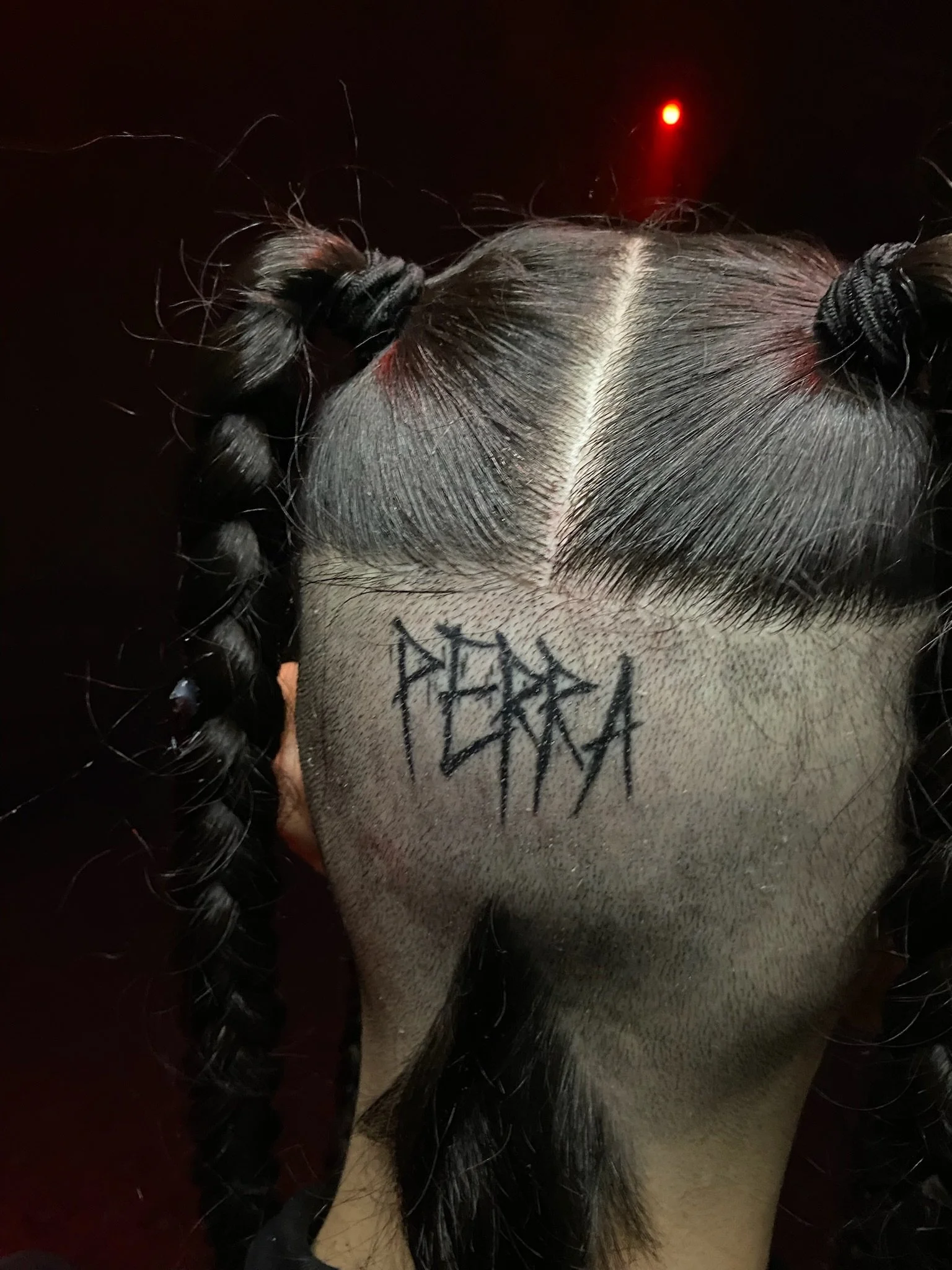 The back of a person's head with long, black braided hair styled in two buns, and a tattoo with overlapping lines on the scalp.