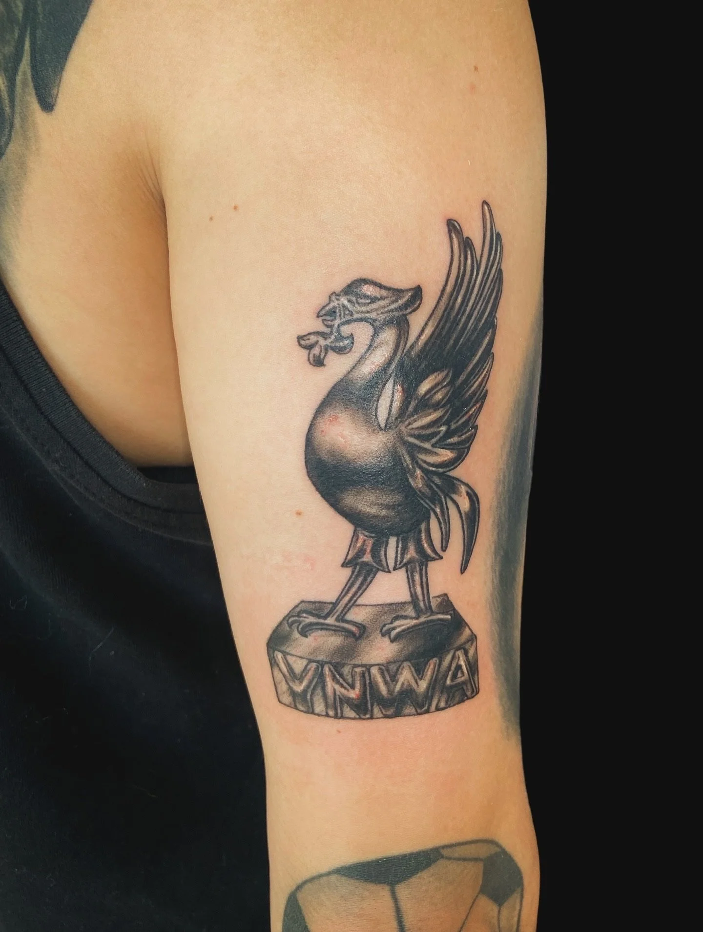 Tattoo of a lion standing on a pedestal with wings, in black and gray ink on person's upper arm.