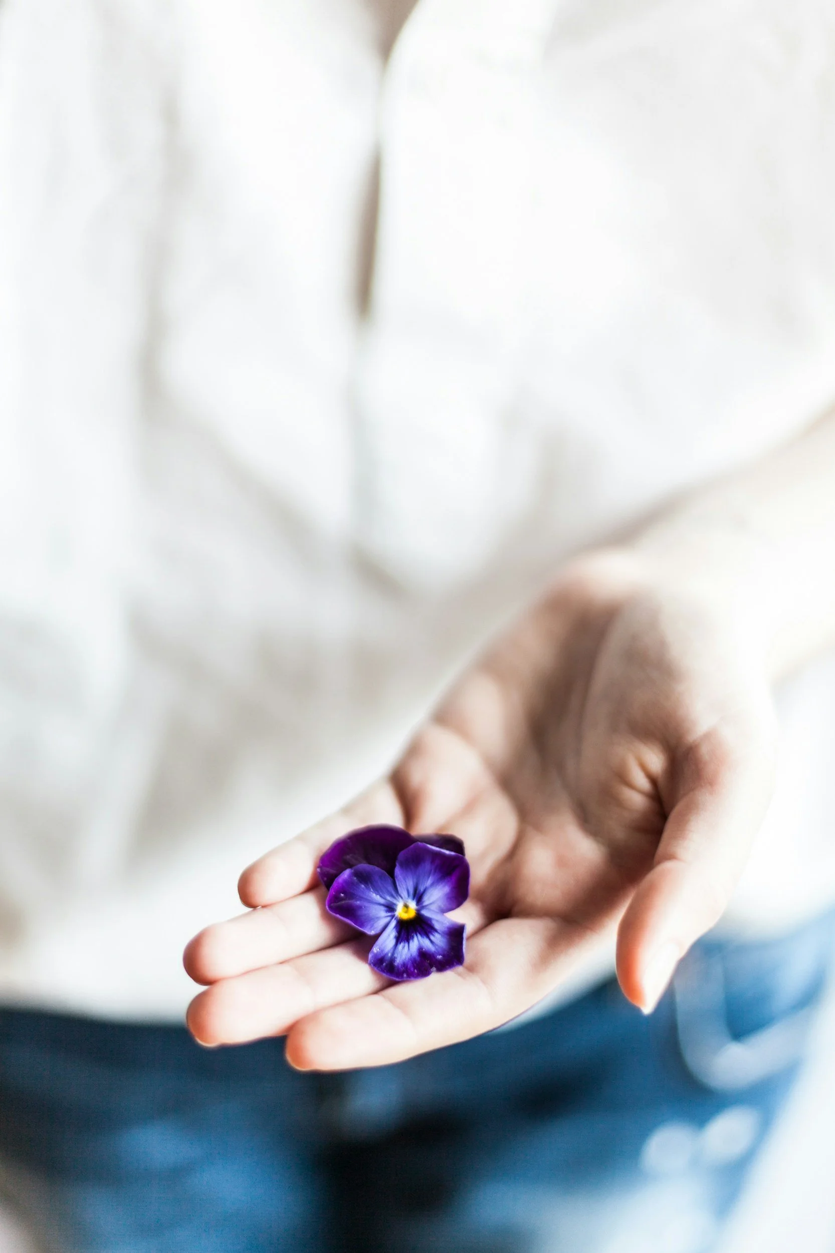The Guiding Herbs Of the Be Gentle Collection