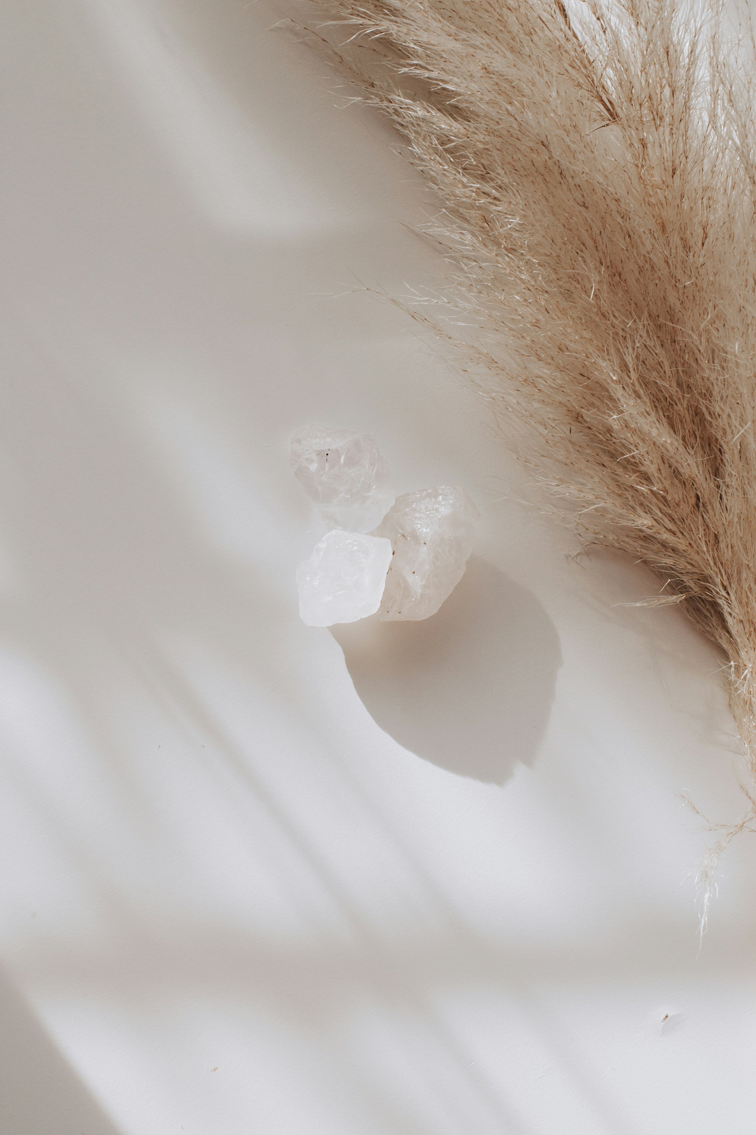 Close-up of a tuft of dried beige pampas grass, some small clear quartz stones, on a smooth white surface.