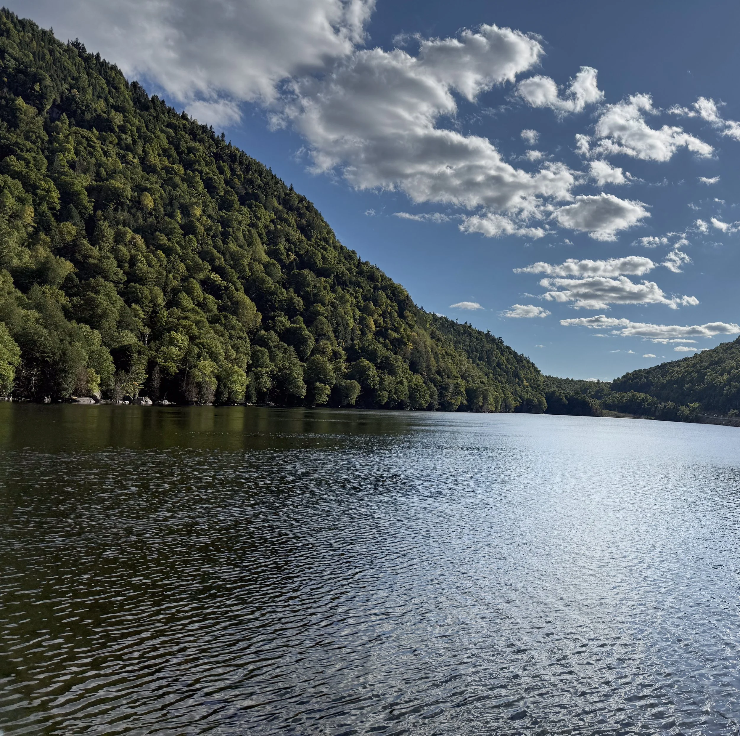Mountain Lake Beneath a Forested Slope, Digital Download Photo