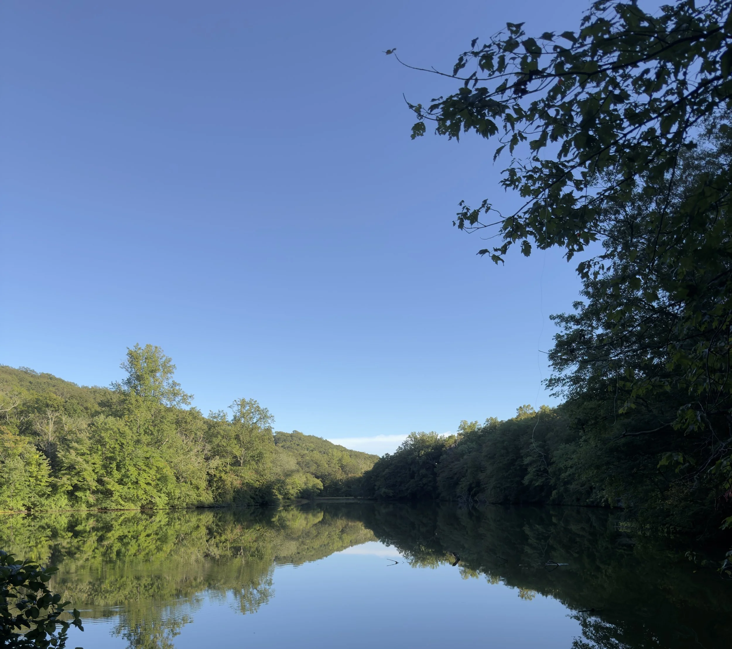 Still Lake Forest Reflection, Landscape Digital Download
