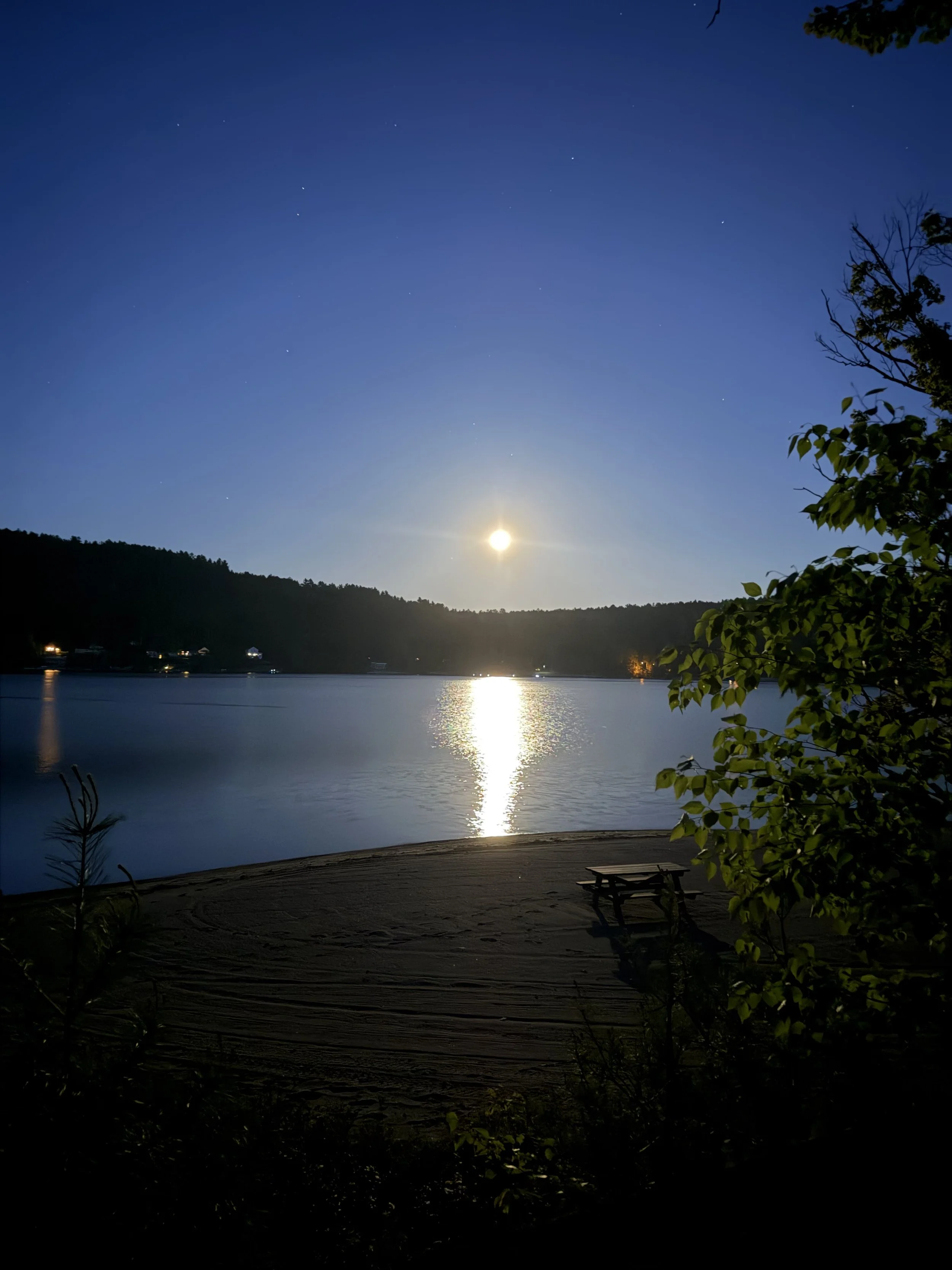 Nighttime scene of a lake with a bright moon reflecting on the water, surrounded by dark hills and trees, with a small dock and a bench in the foreground.