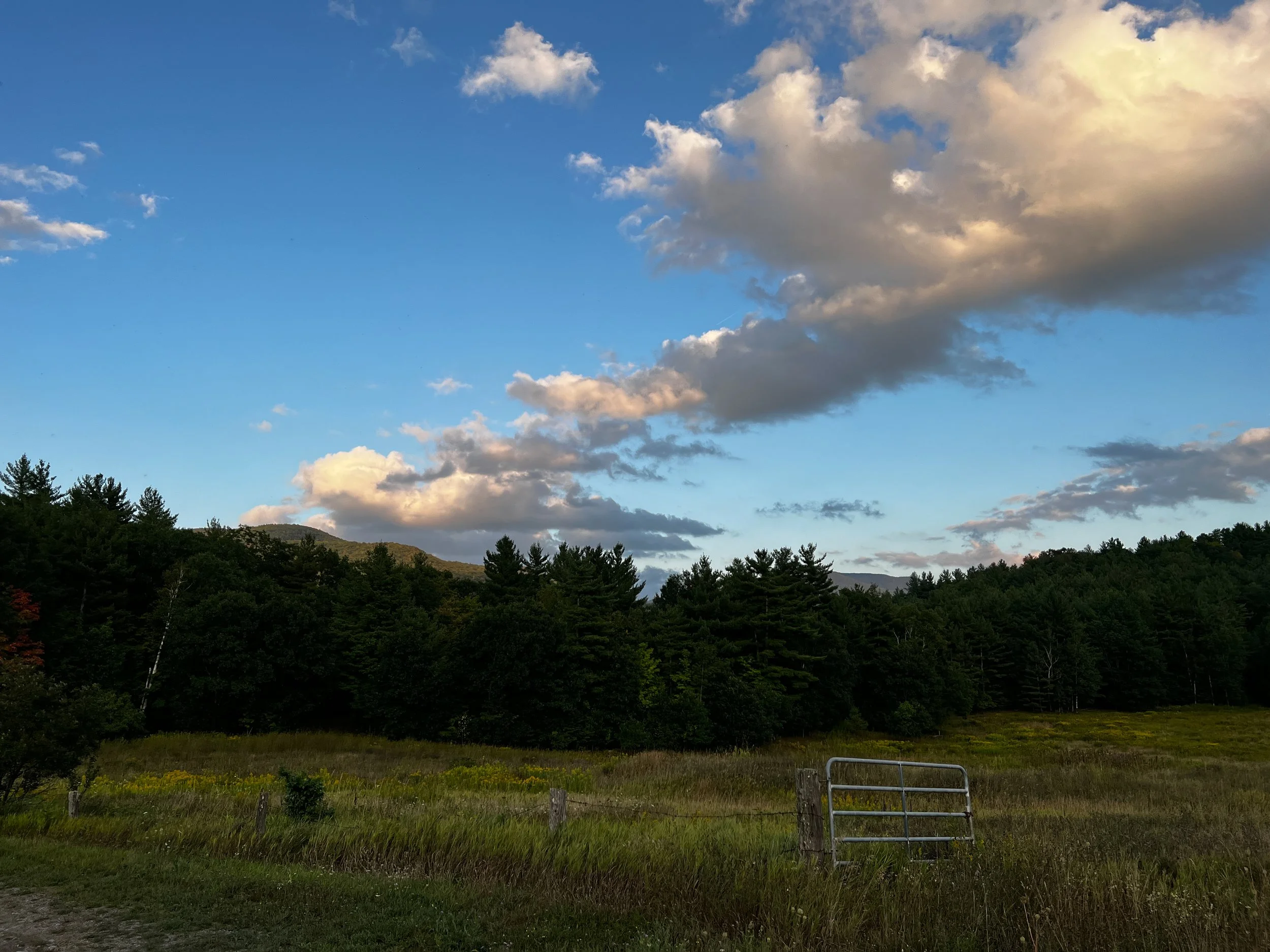 Meadow Gate Under Evening Clouds, Landscape Digital Download