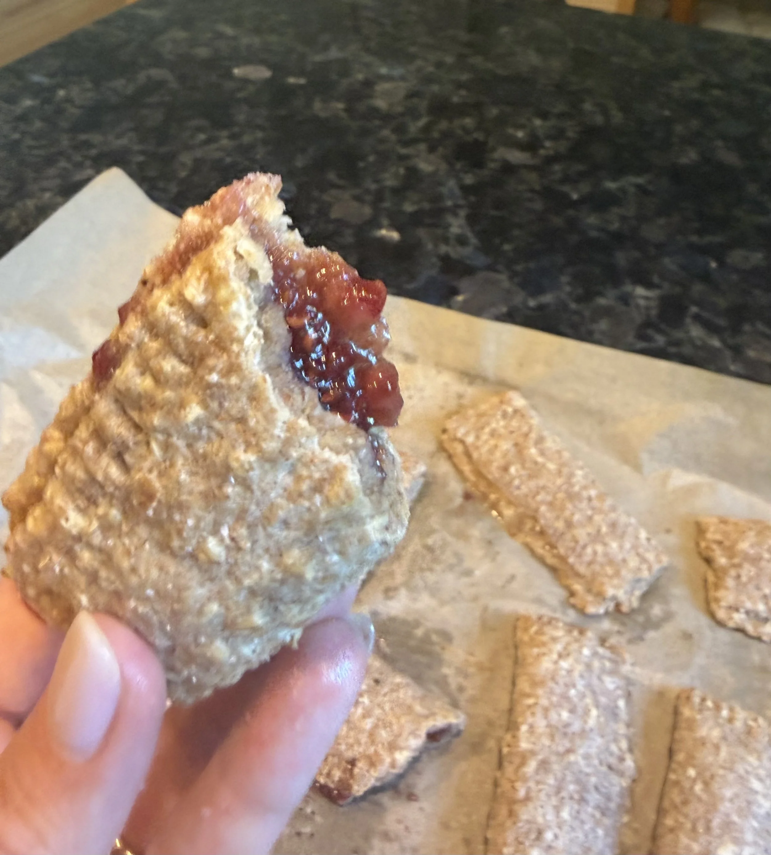 Homemade “Nutri-grain” Bars