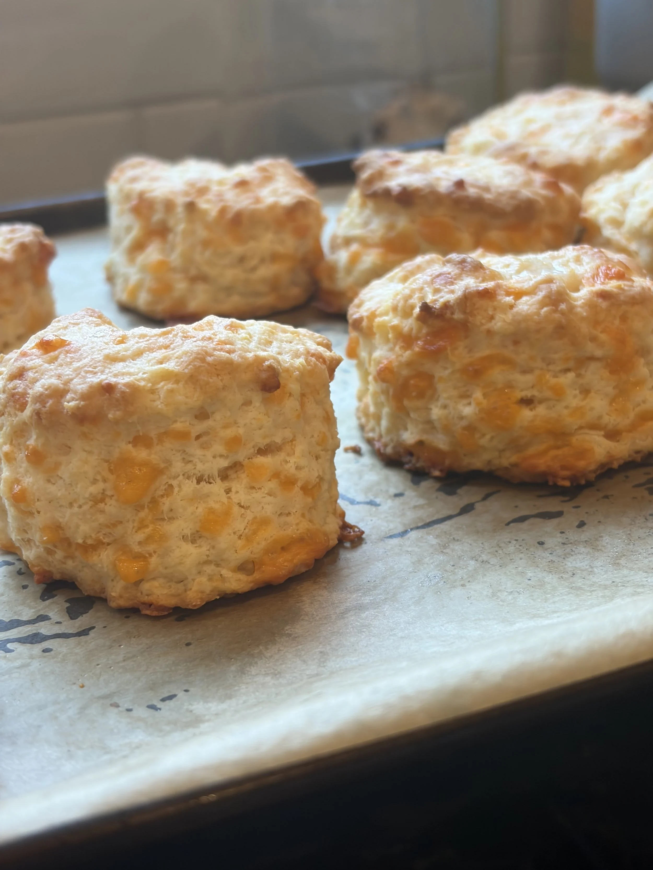 Homemade Cheddar Biscuits