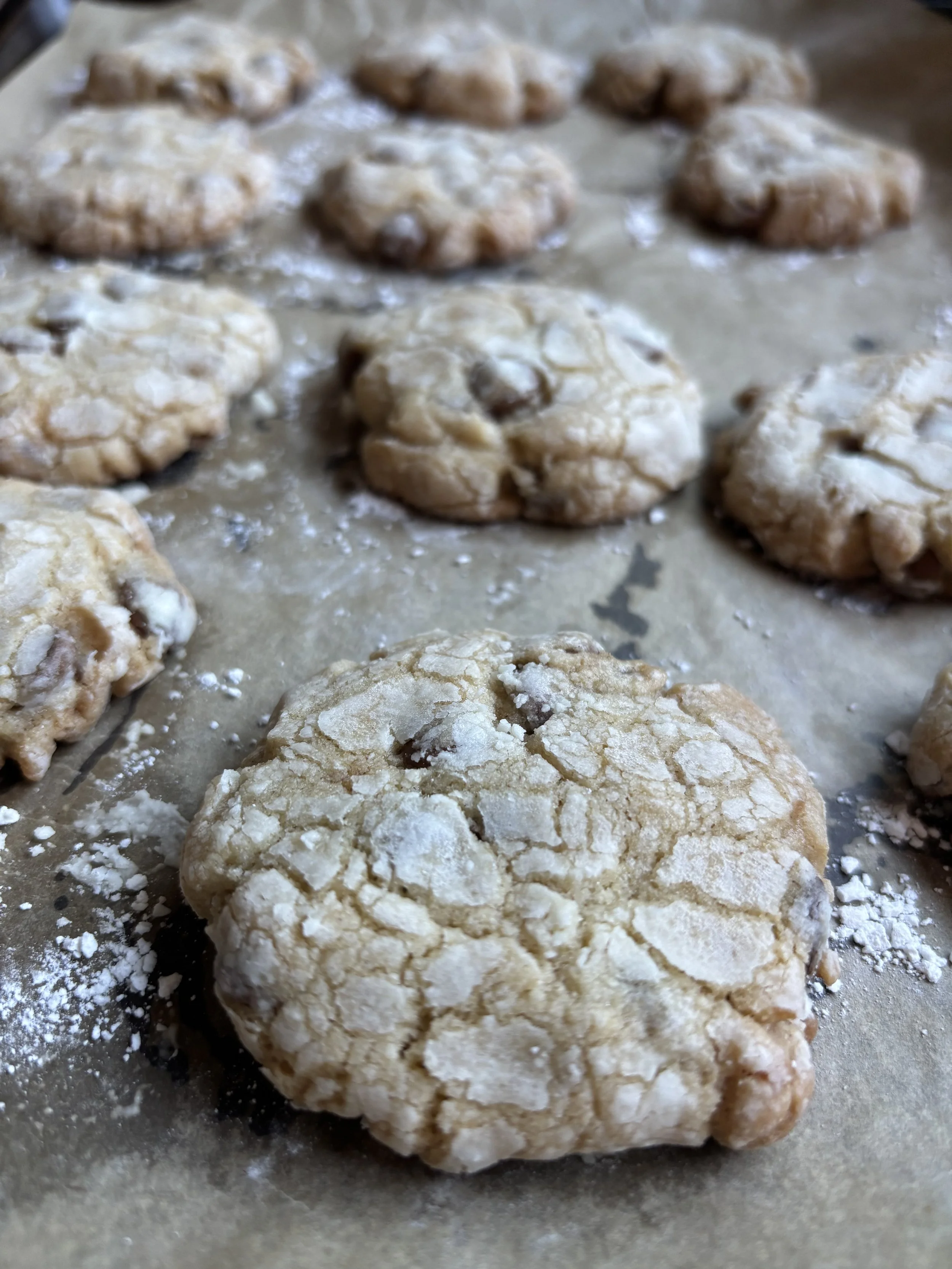 Homemade Chocolate Chip Candied Ginger Cookies