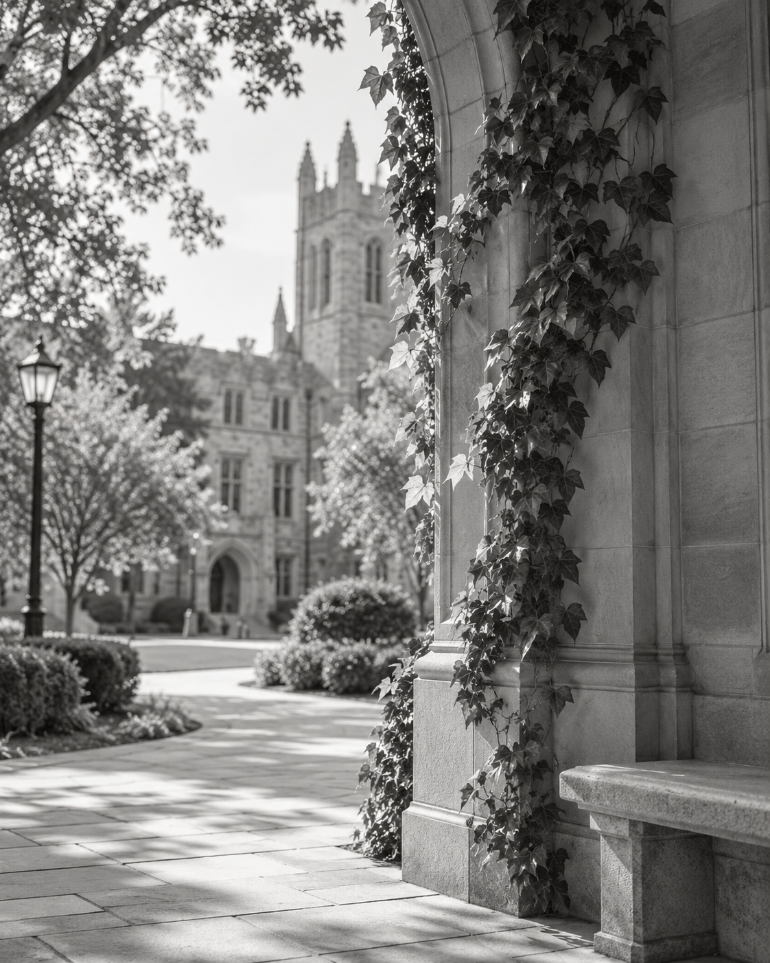 A black and white photo of a university campus with a stone building and a clock tower in the background, trees with blooming flowers, a sidewalk, and a lamp post. Ivy climbs the stone archway in the foreground.