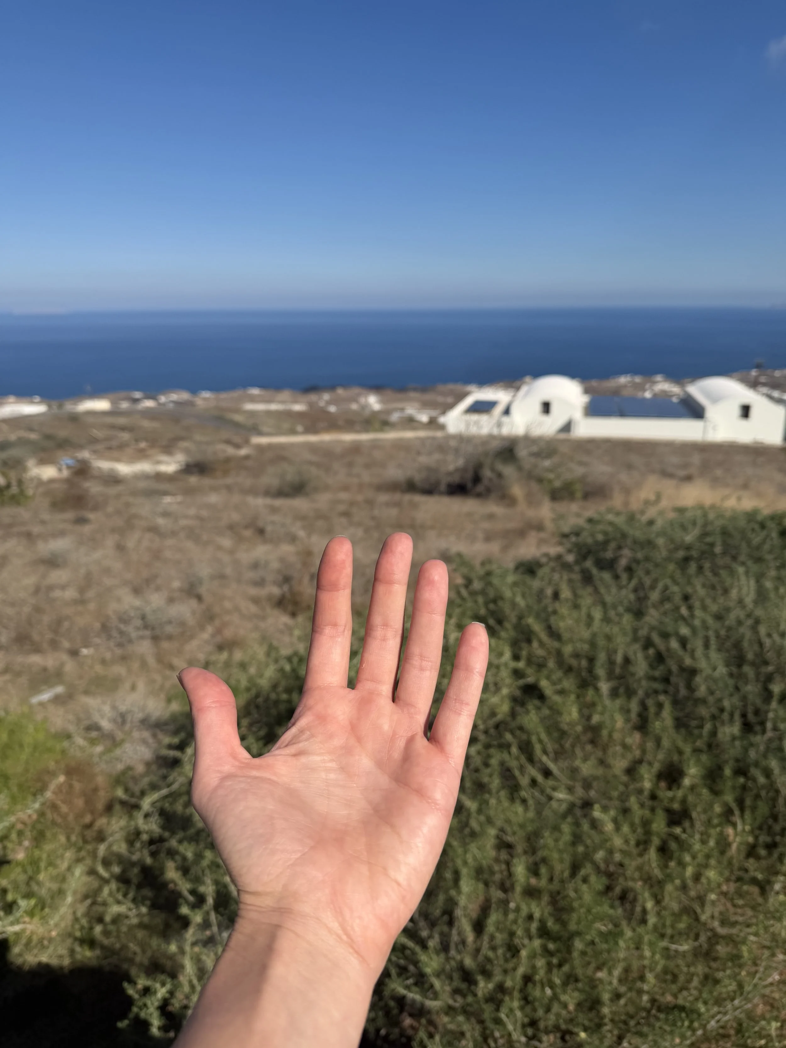 IMG_0645.jpeg