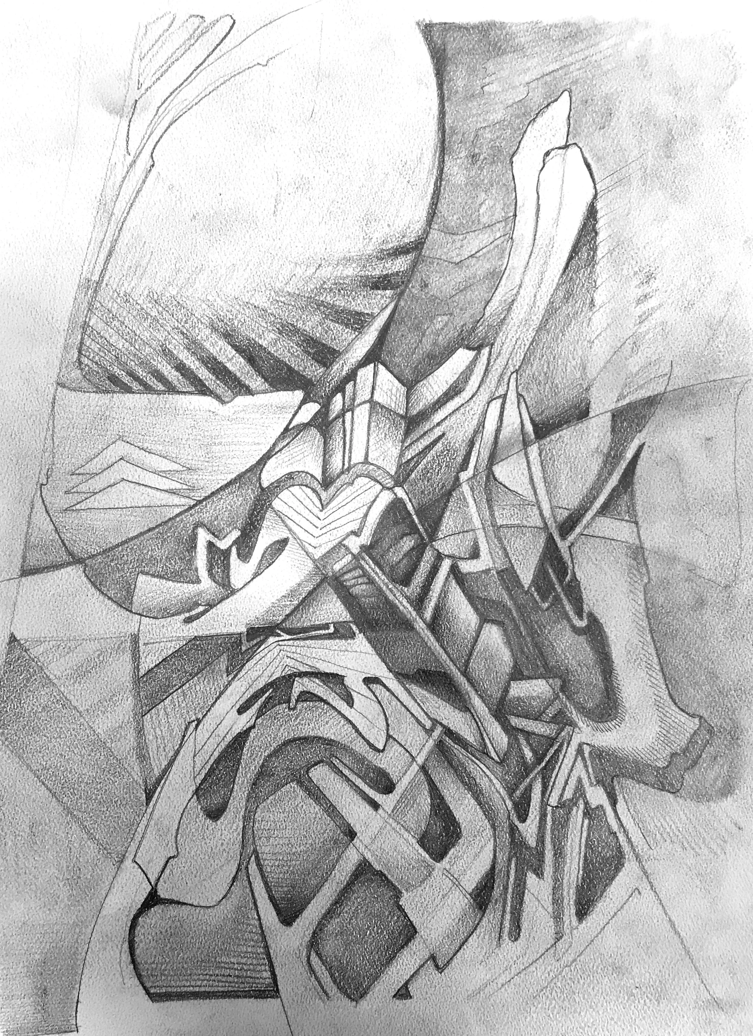 ClippedWing.JPG