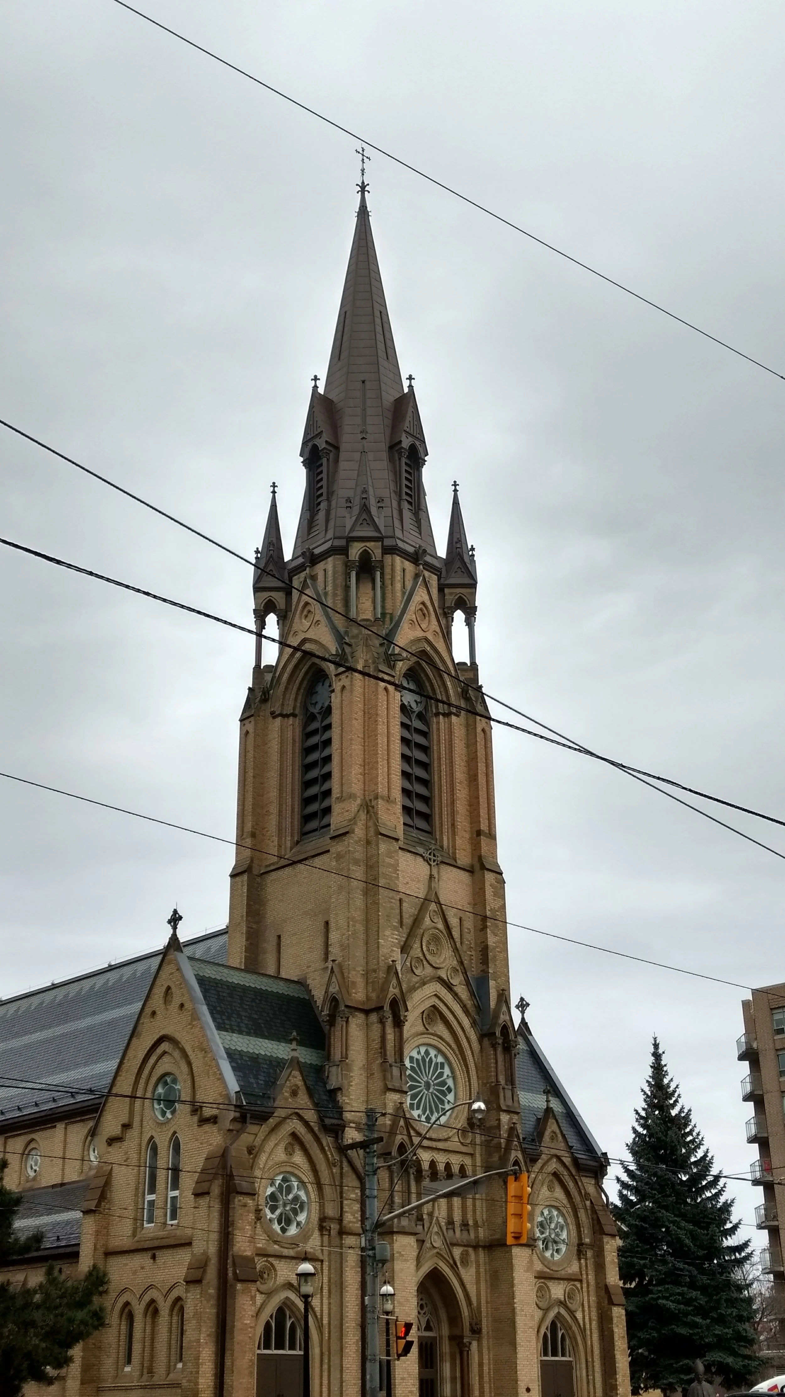 IMG_20161125_091852859_HDR.jpg