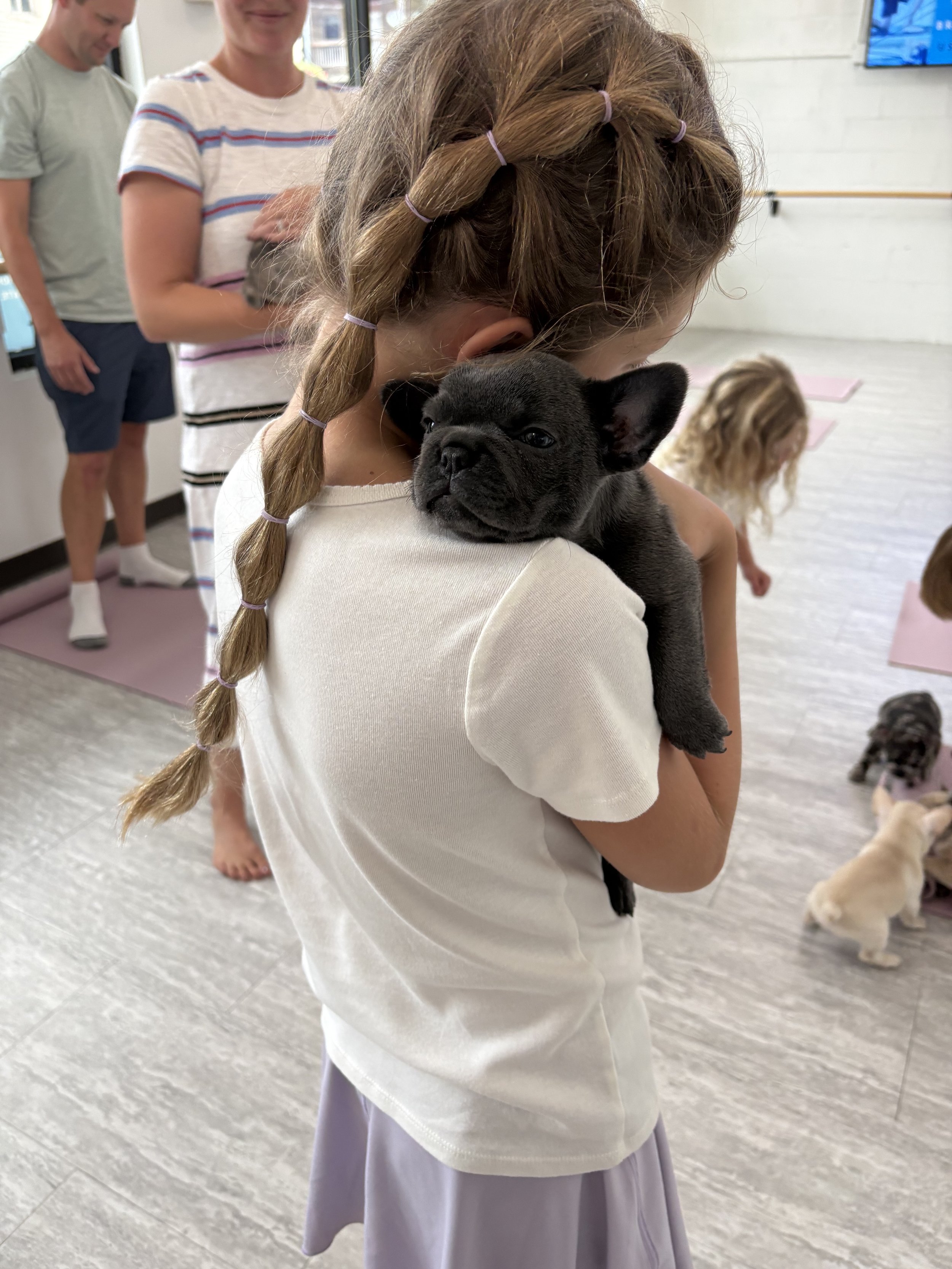 A young girl with braided hair, secured with purple hair ties, holding a small black puppy close to her chest, with a group of people and other puppies in the background.