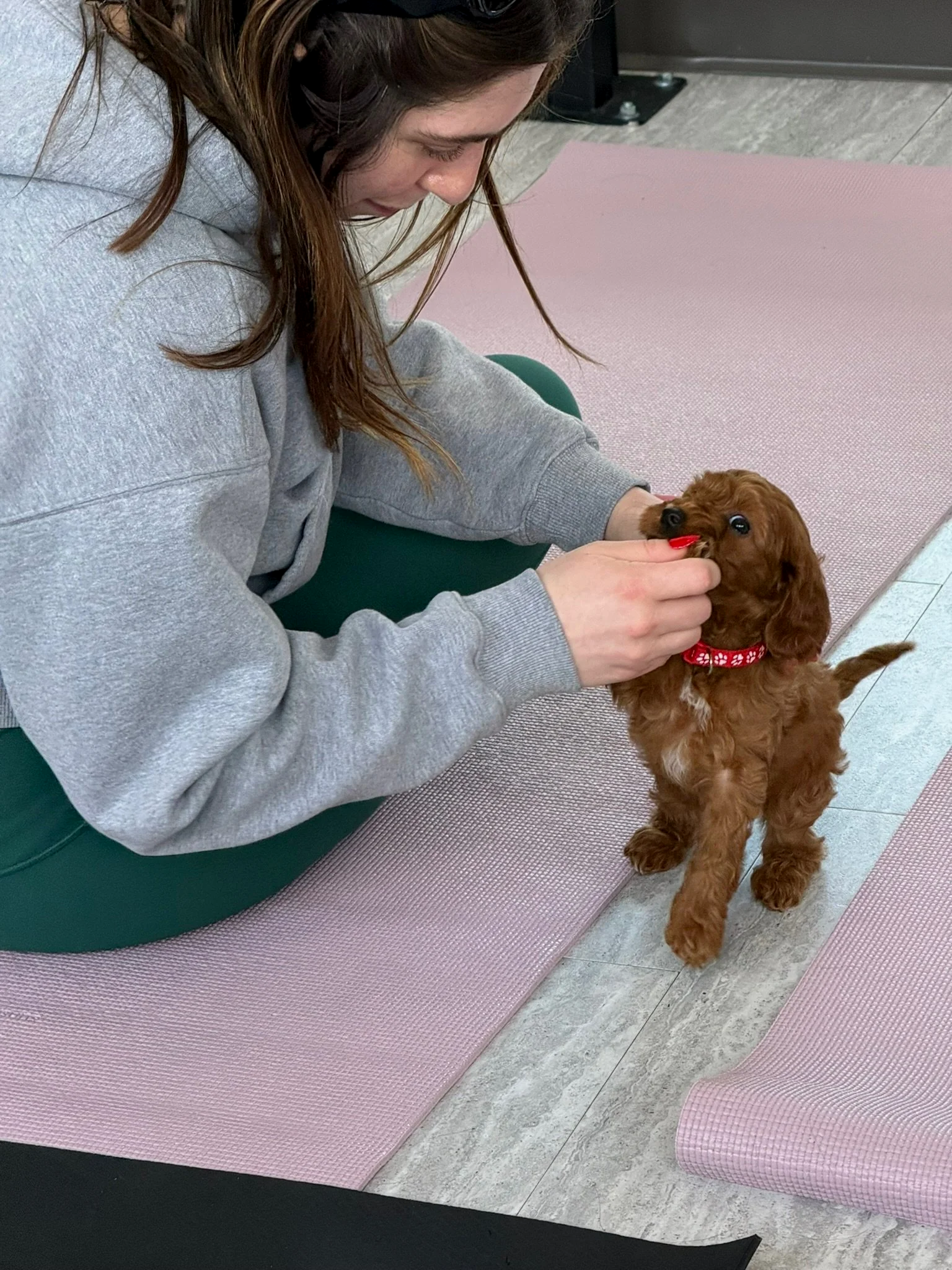 A woman with brown hair in a gray hoodie is sitting on a pink yoga mat, holding a small brown puppy with floppy ears and a red collar, inside a room with tiled gray flooring.