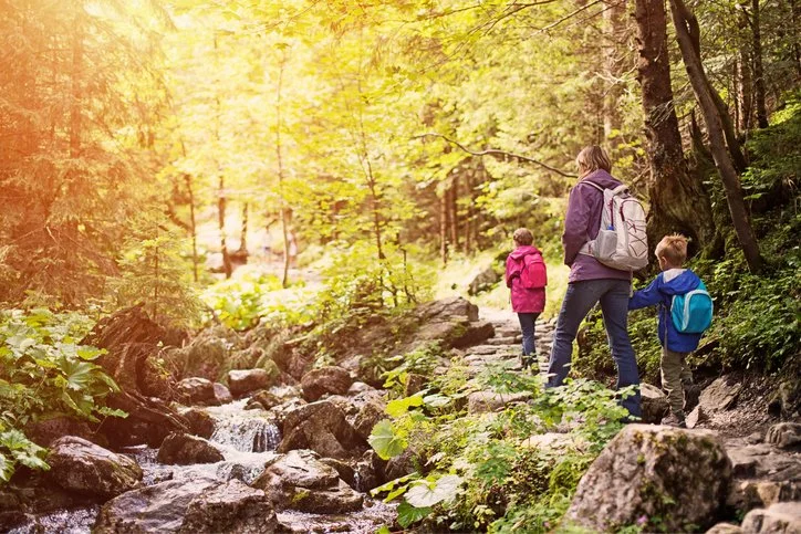 Portland’s Urban Sanctuaries