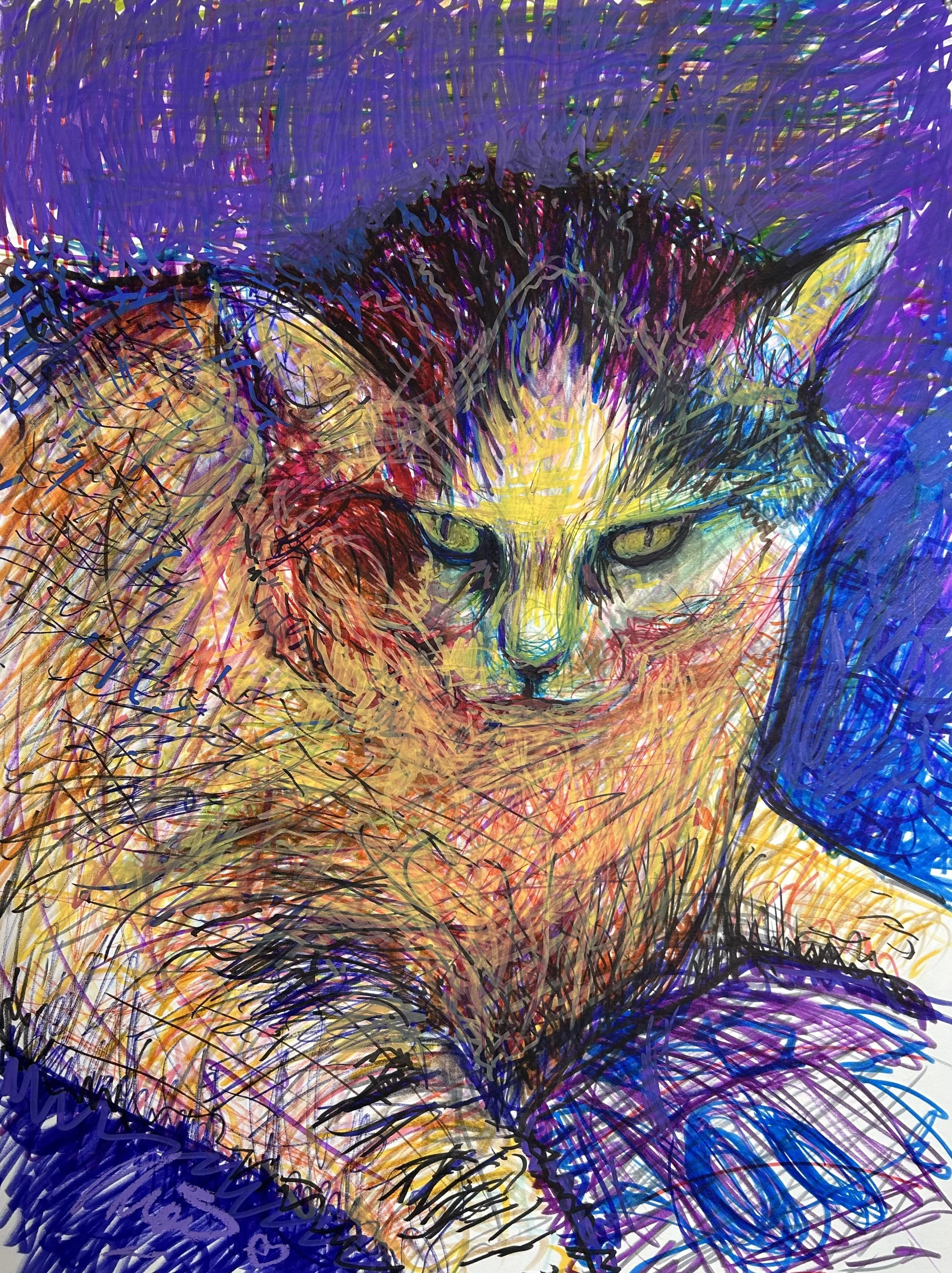 24 x 18 in.  NOT AVAILABLE