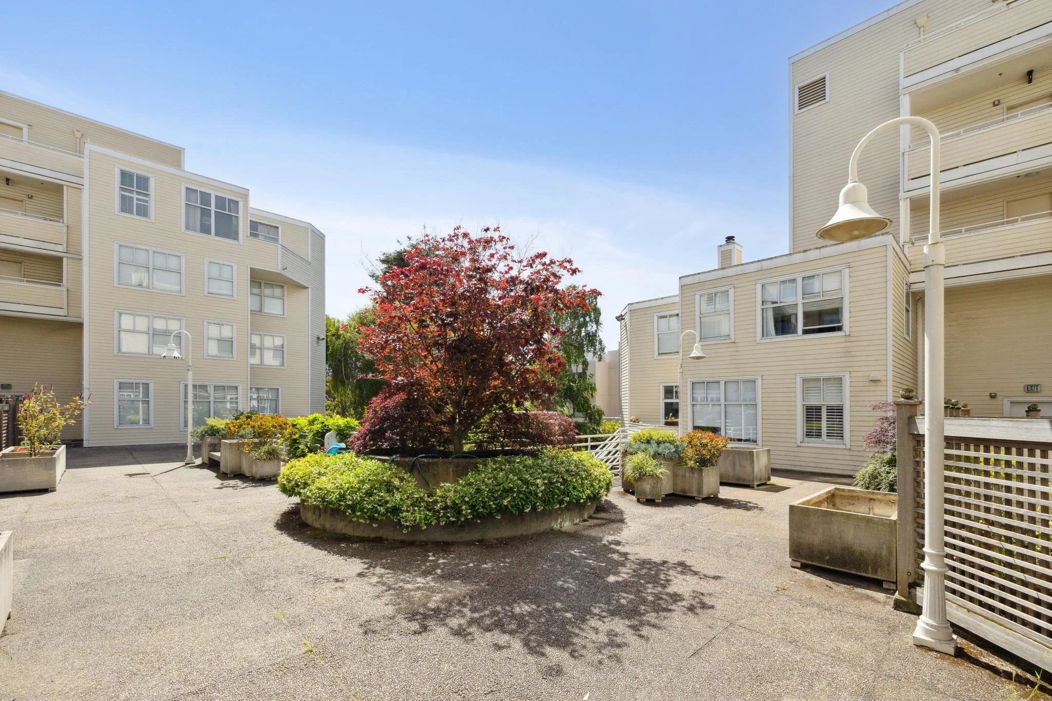 Apartment courtyard with a small tree with red leaves, surrounded by planters, and beige apartment buildings with multiple windows, some with blinds. A white streetlamp is visible on the right side.