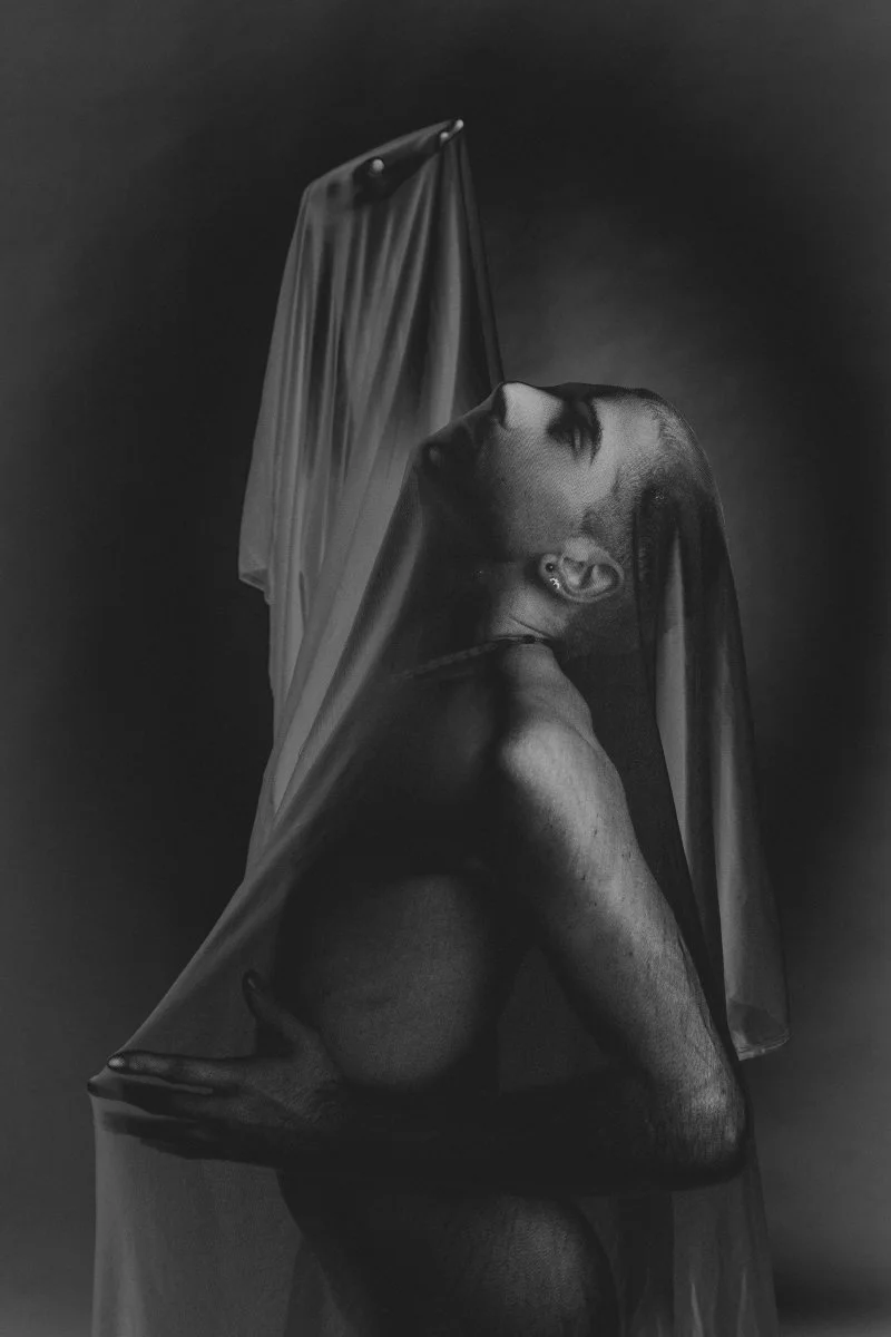 Thinly Veiled 12x18.jpg