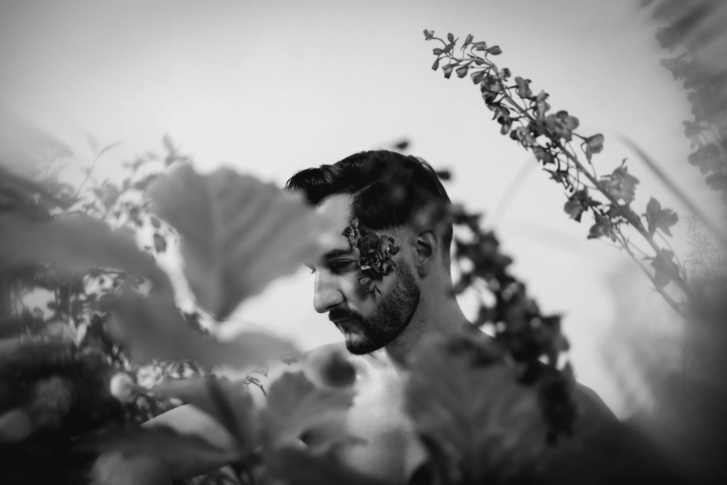 Flowers-Derek-Matthew-11.jpg