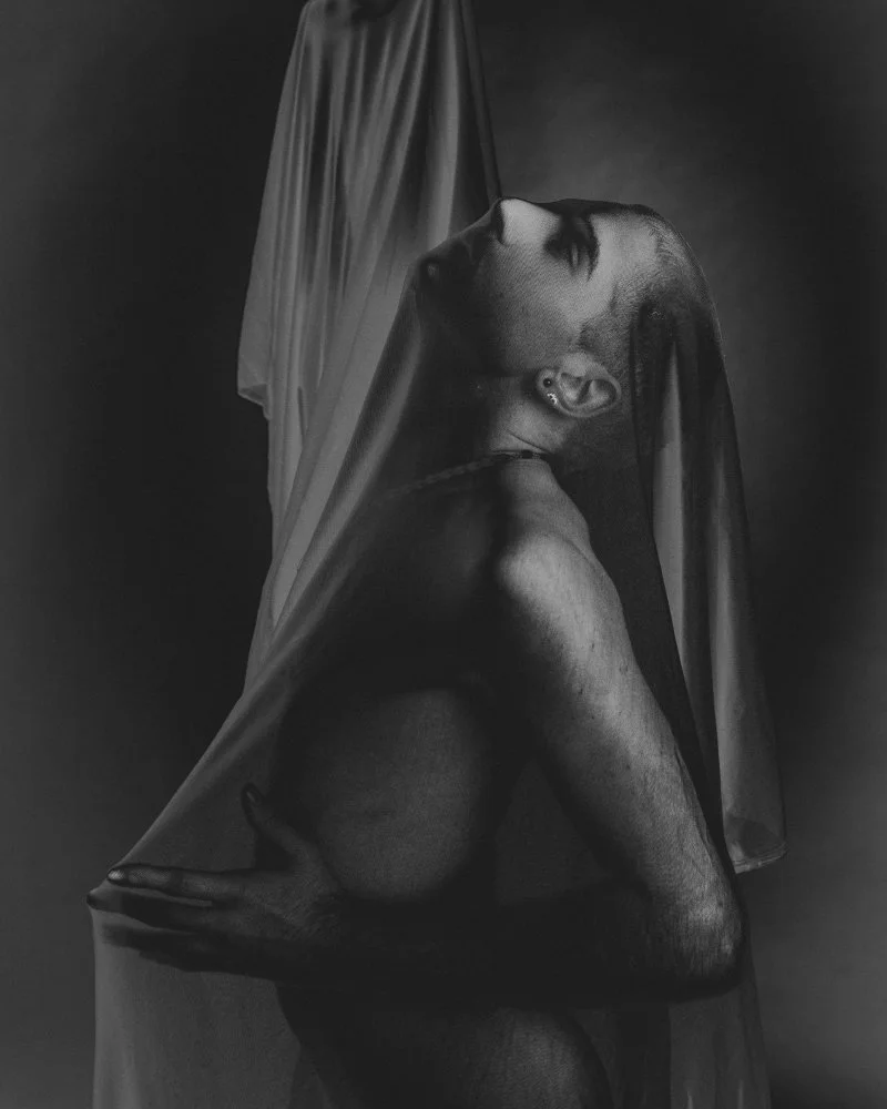 Thinly Veiled 8x10.jpg